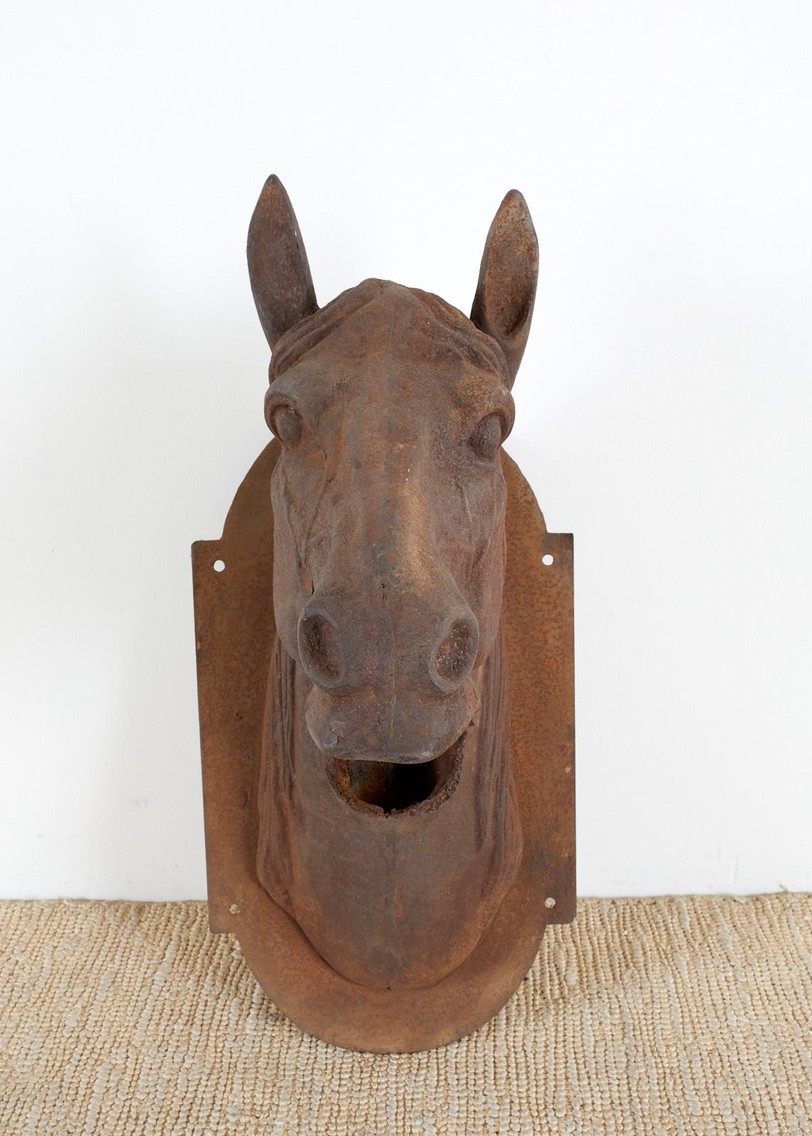 French Cast Iron Horse Head Bust Trade Sign 3