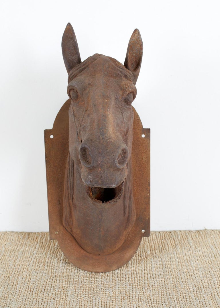 Impressive late 19th century French horse head bust trade sign made of cast iron. Features a beautifully rustic patinated finish with a wall mounting plate attached. Very heavy and solid life-size sculpture. Whimsical Folk Art piece from an estate