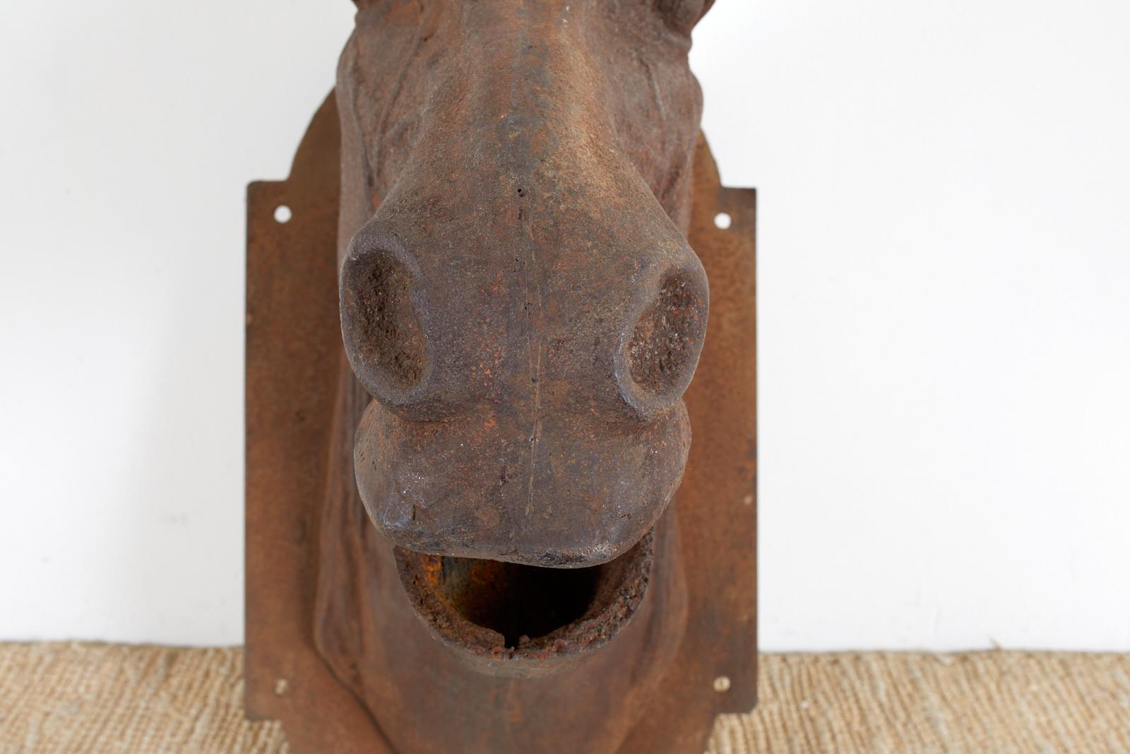 horse head mount