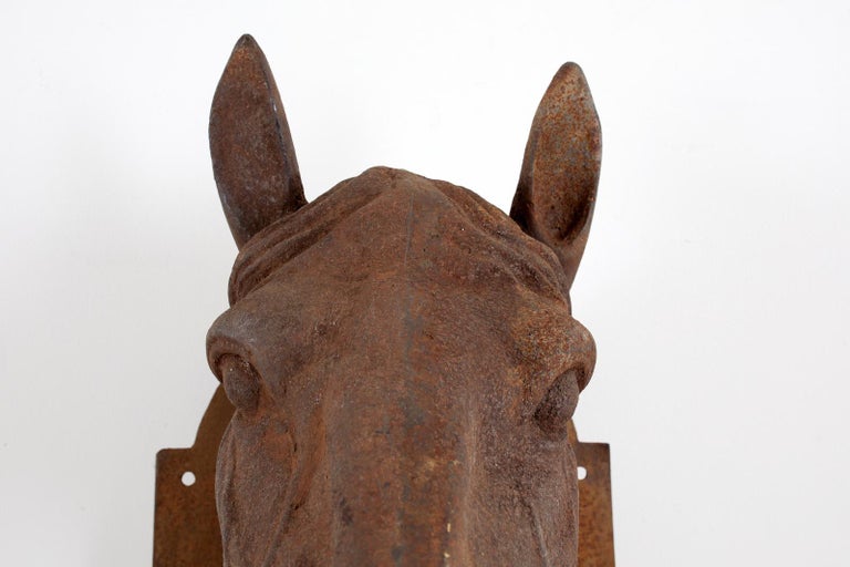 French Cast Iron Horse Head Bust Trade Sign 2