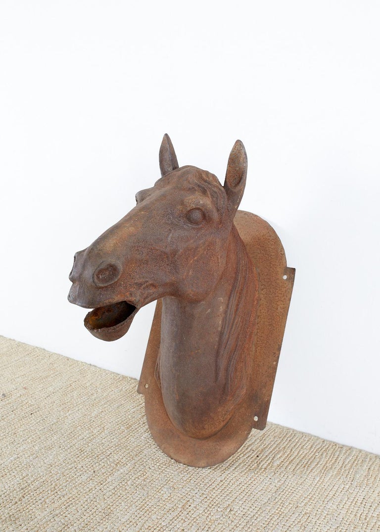 French Cast Iron Horse Head Bust Trade Sign 4