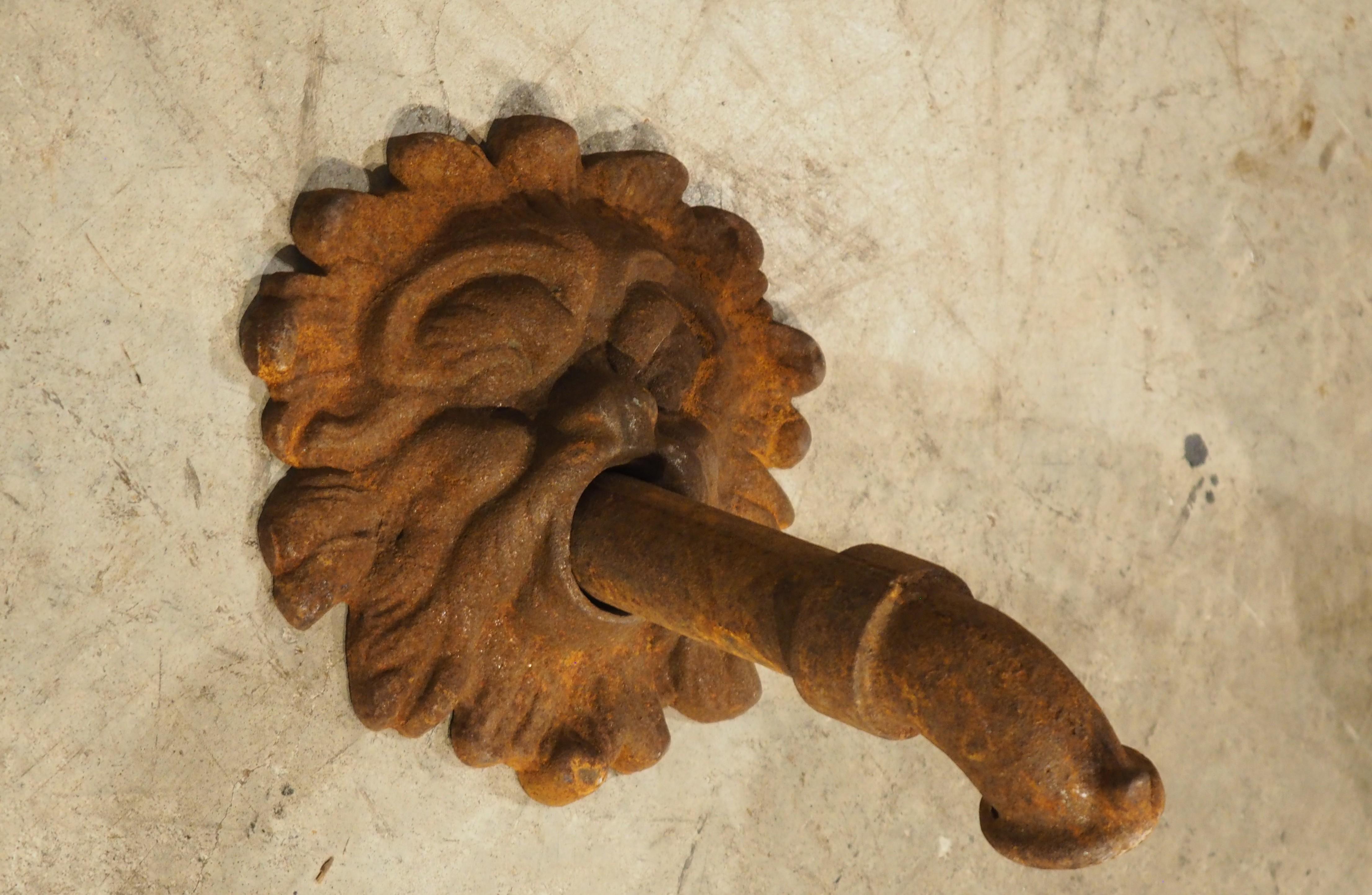 French Cast Iron Mascaron Spout with Backplate In Good Condition For Sale In Dallas, TX
