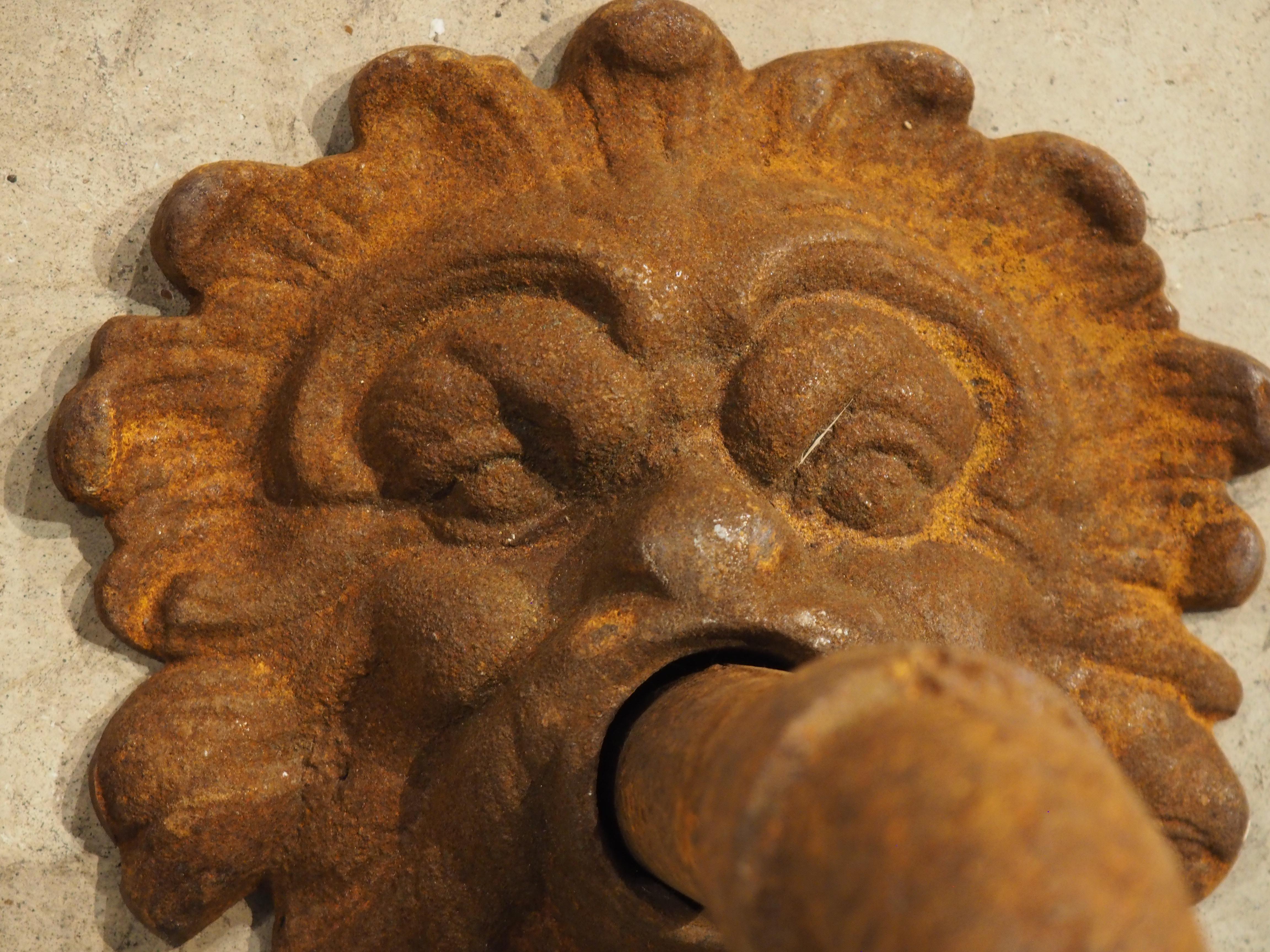 20th Century French Cast Iron Mascaron Spout with Backplate For Sale