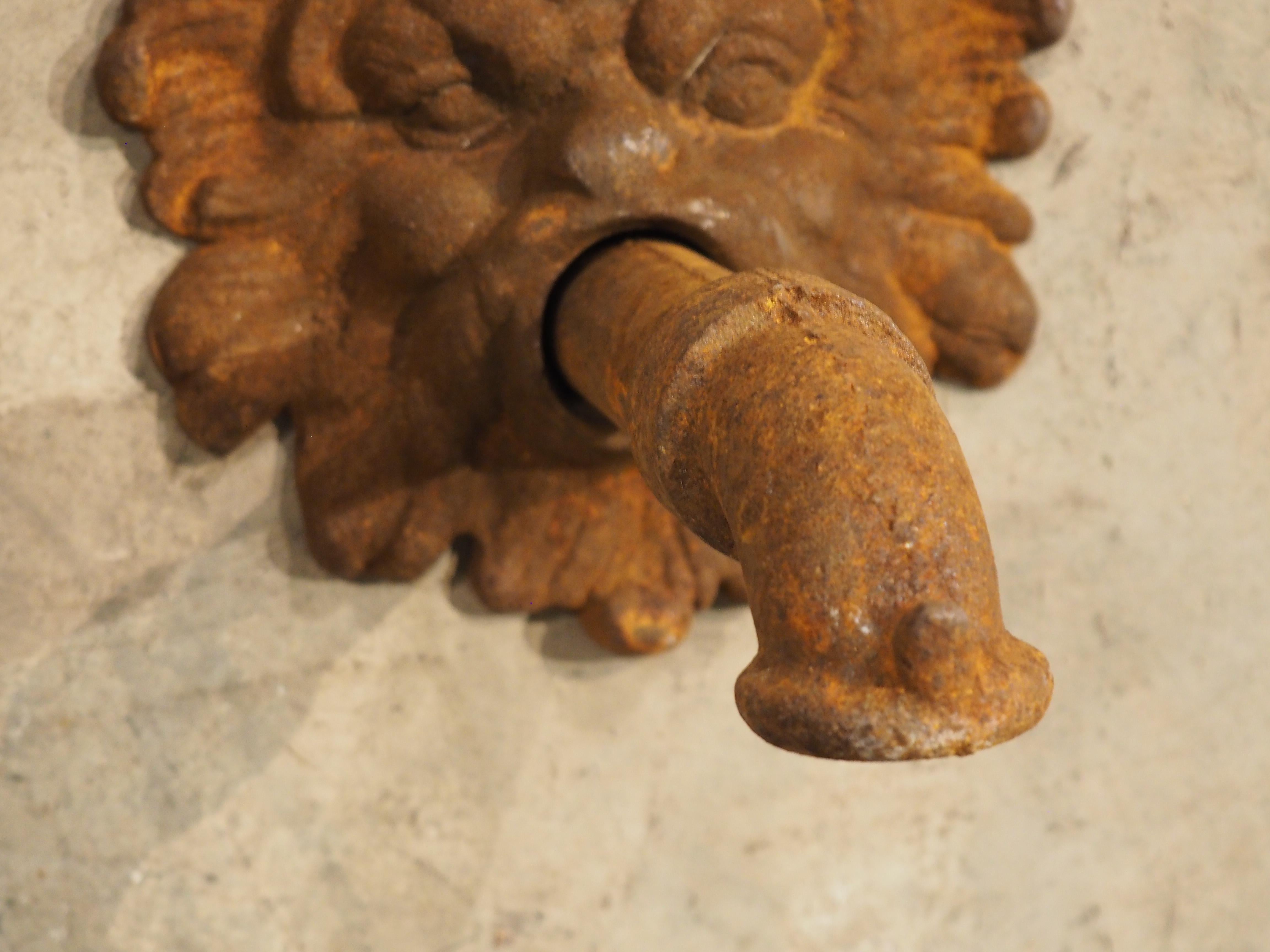 Metal French Cast Iron Mascaron Spout with Backplate For Sale
