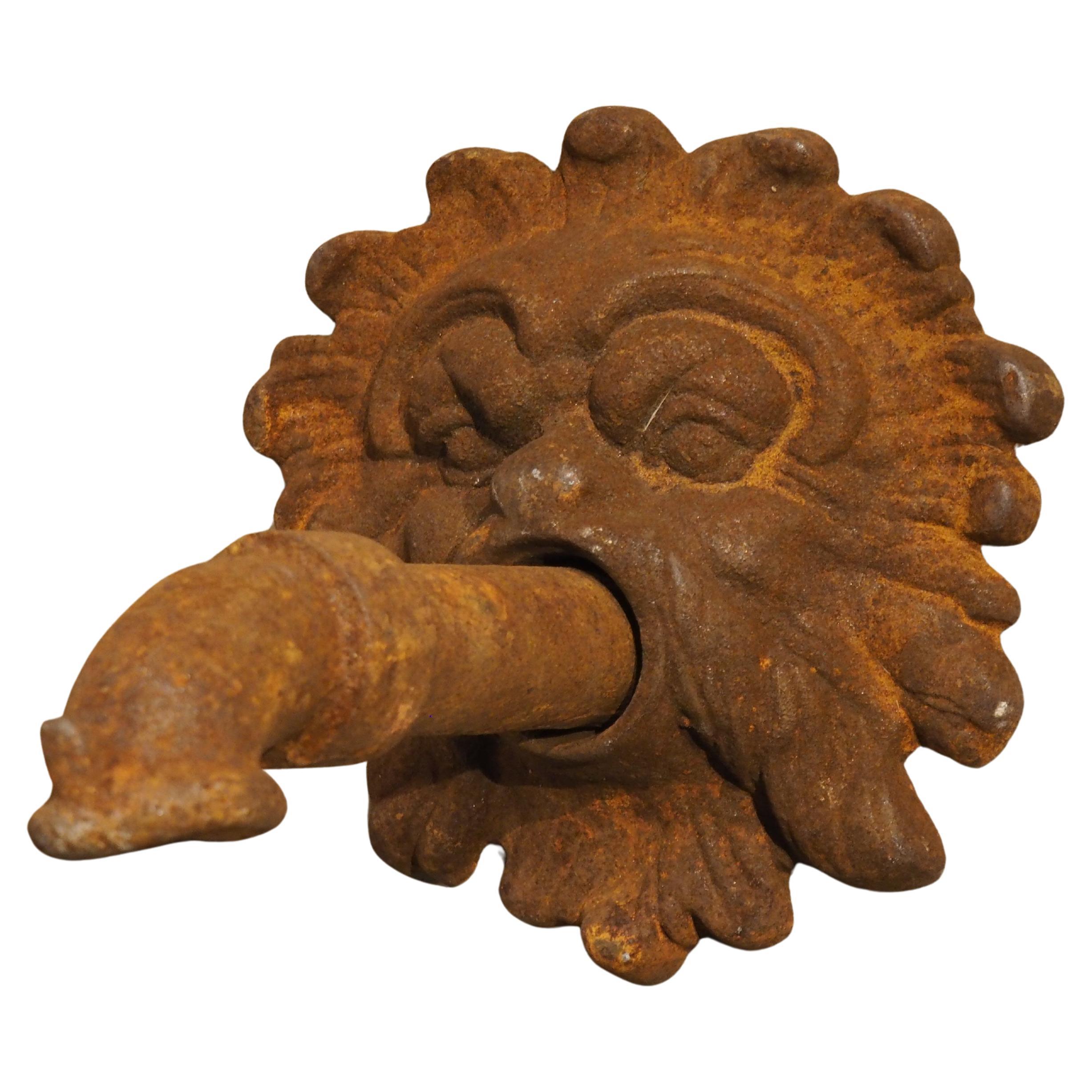 French Cast Iron Mascaron Spout with Backplate