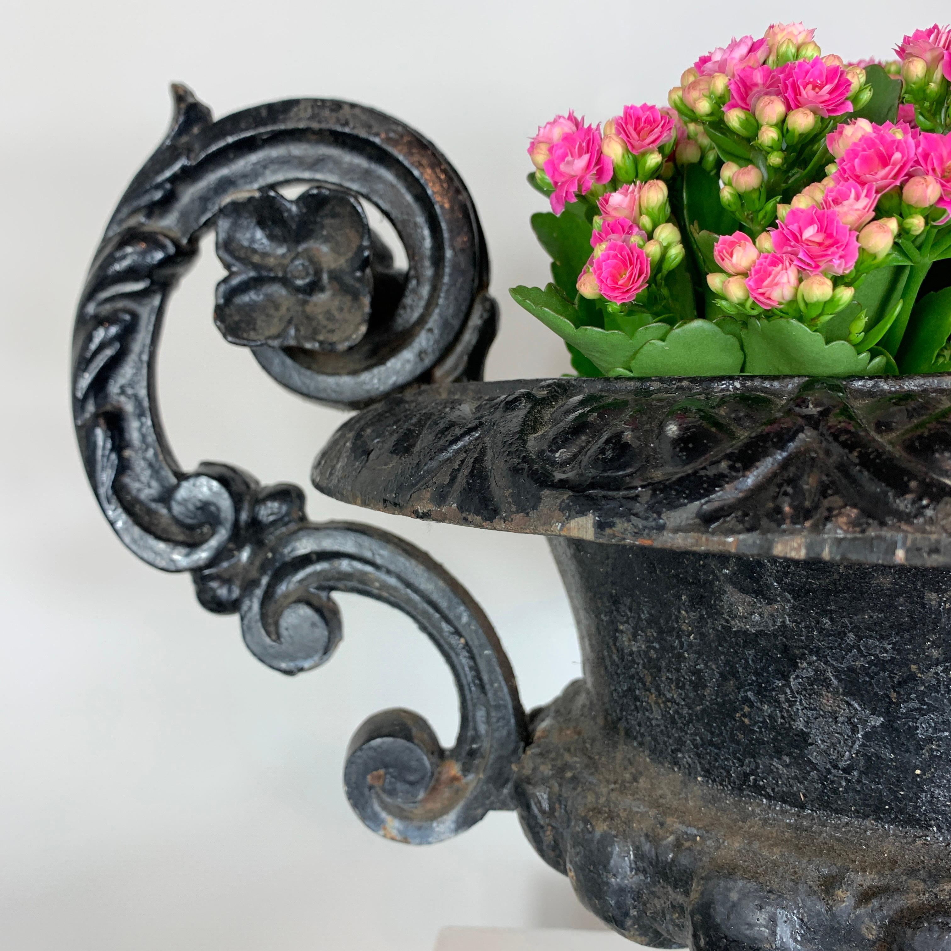 19th Century Black French Cast Iron Urn with Decorative Handles, 19th C For Sale