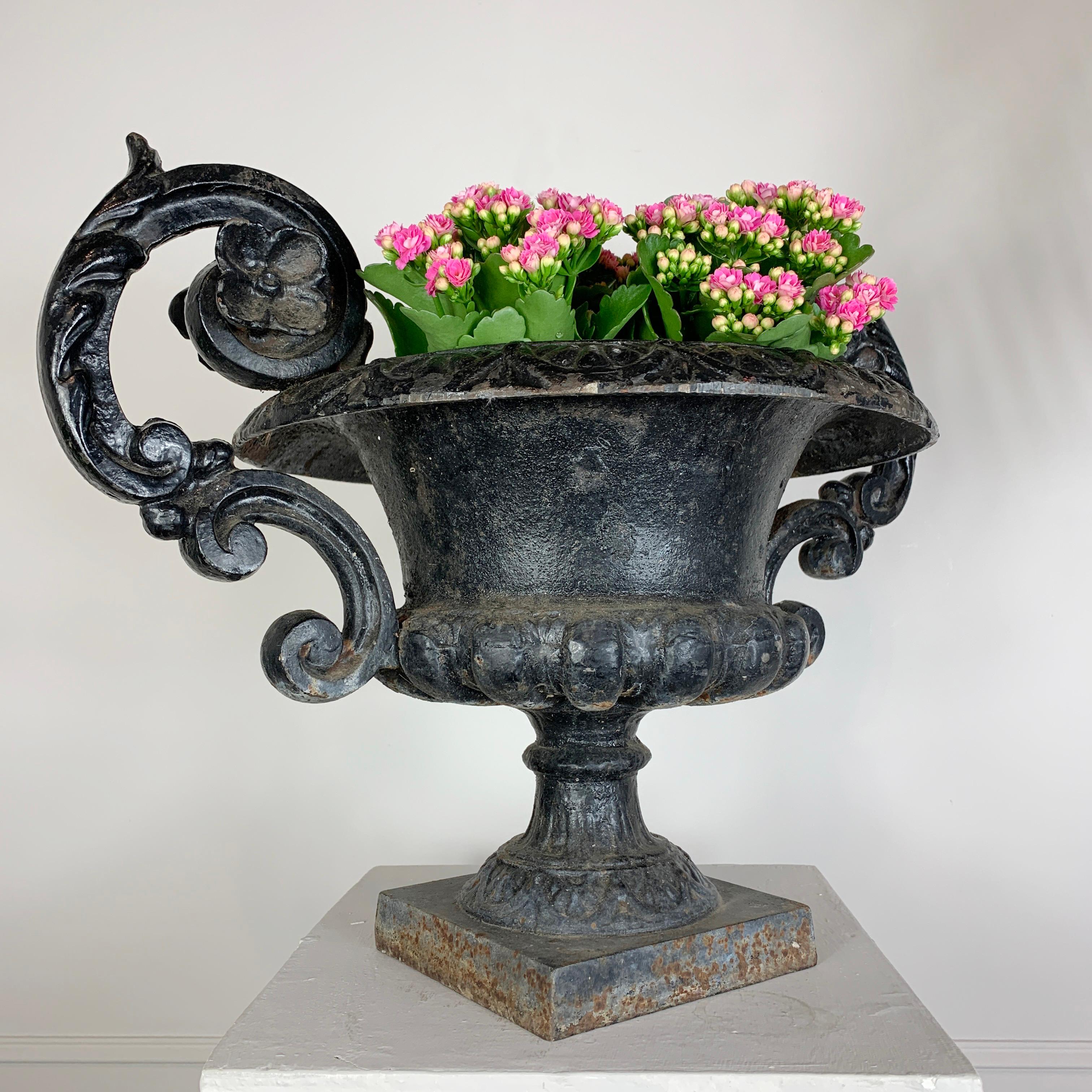 Black French Cast Iron Urn with Decorative Handles, 19th C For Sale 1