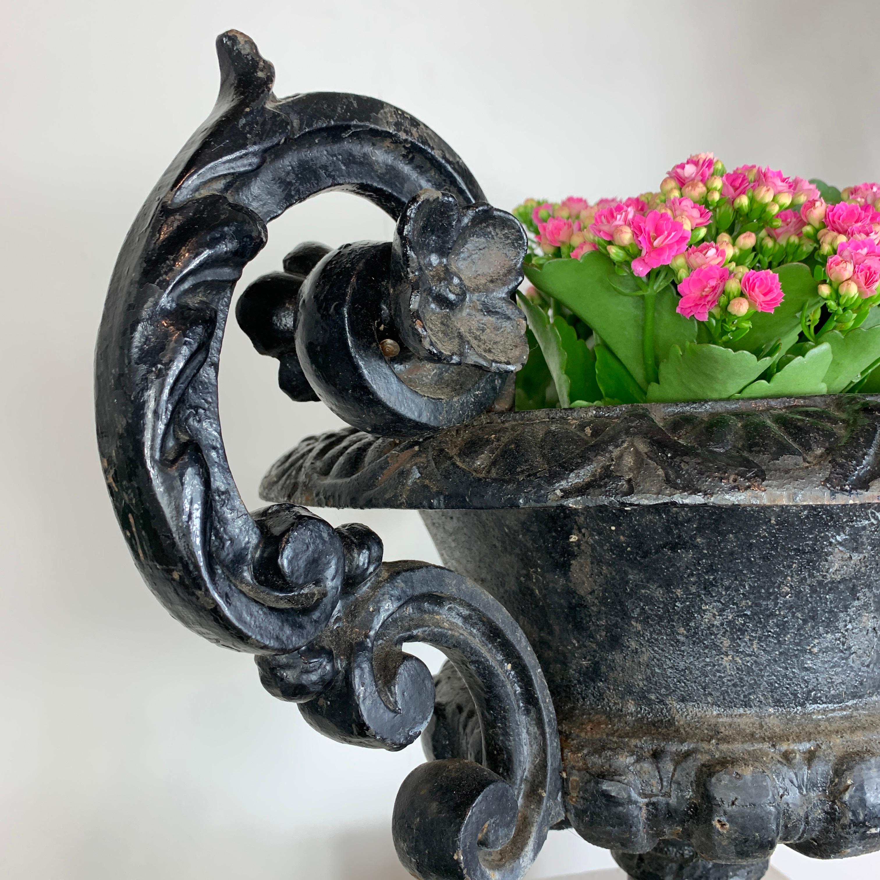 Black French Cast Iron Urn with Decorative Handles, 19th C For Sale 2