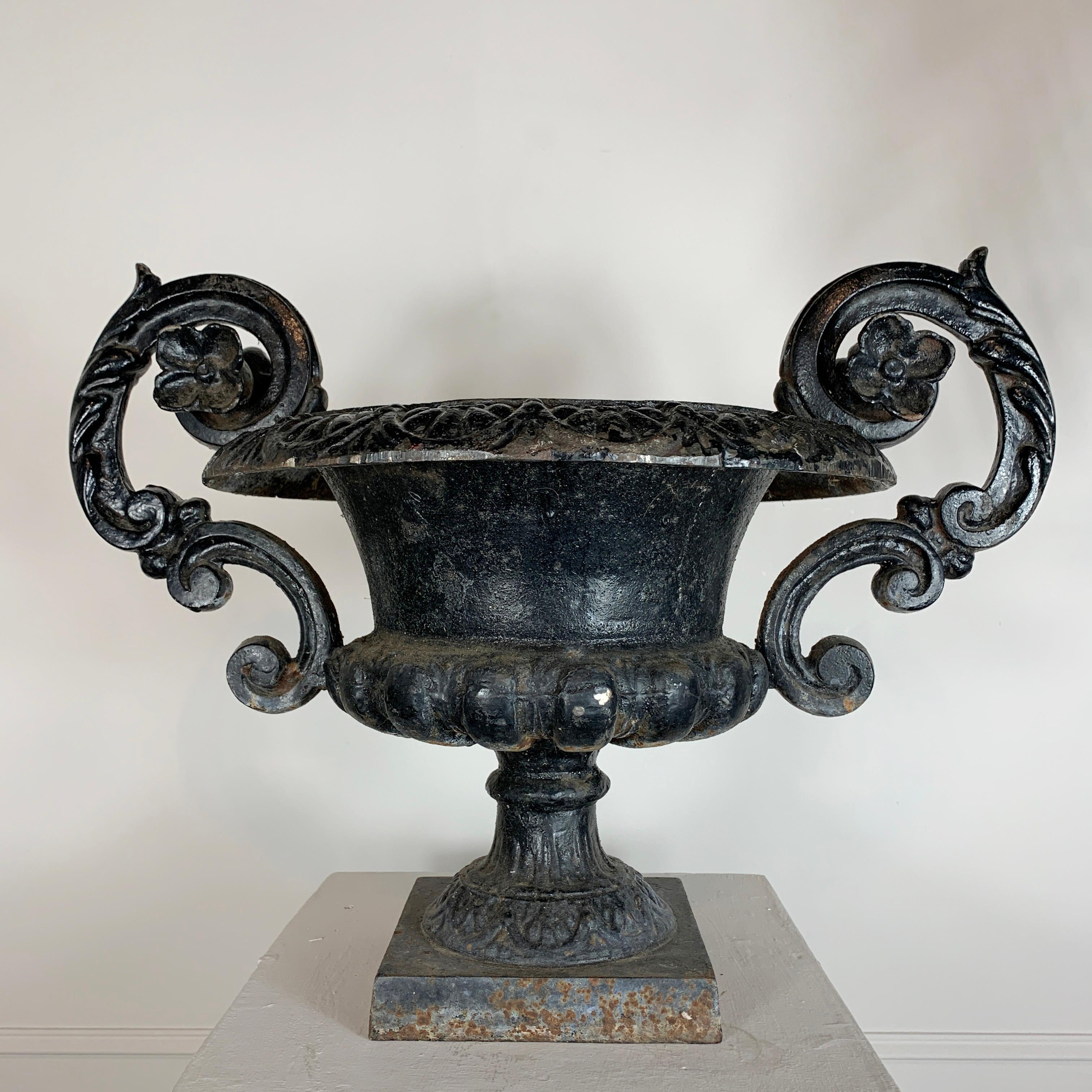Black French Cast Iron Urn with Decorative Handles, 19th C For Sale 4