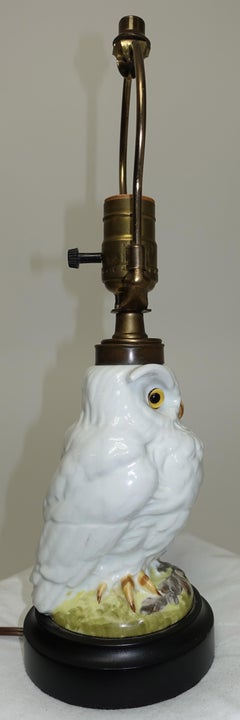 French Ceramic Owl Oil Lamp, circa 1880