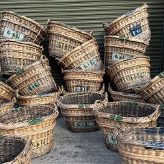 Cesti di uva champagne francese