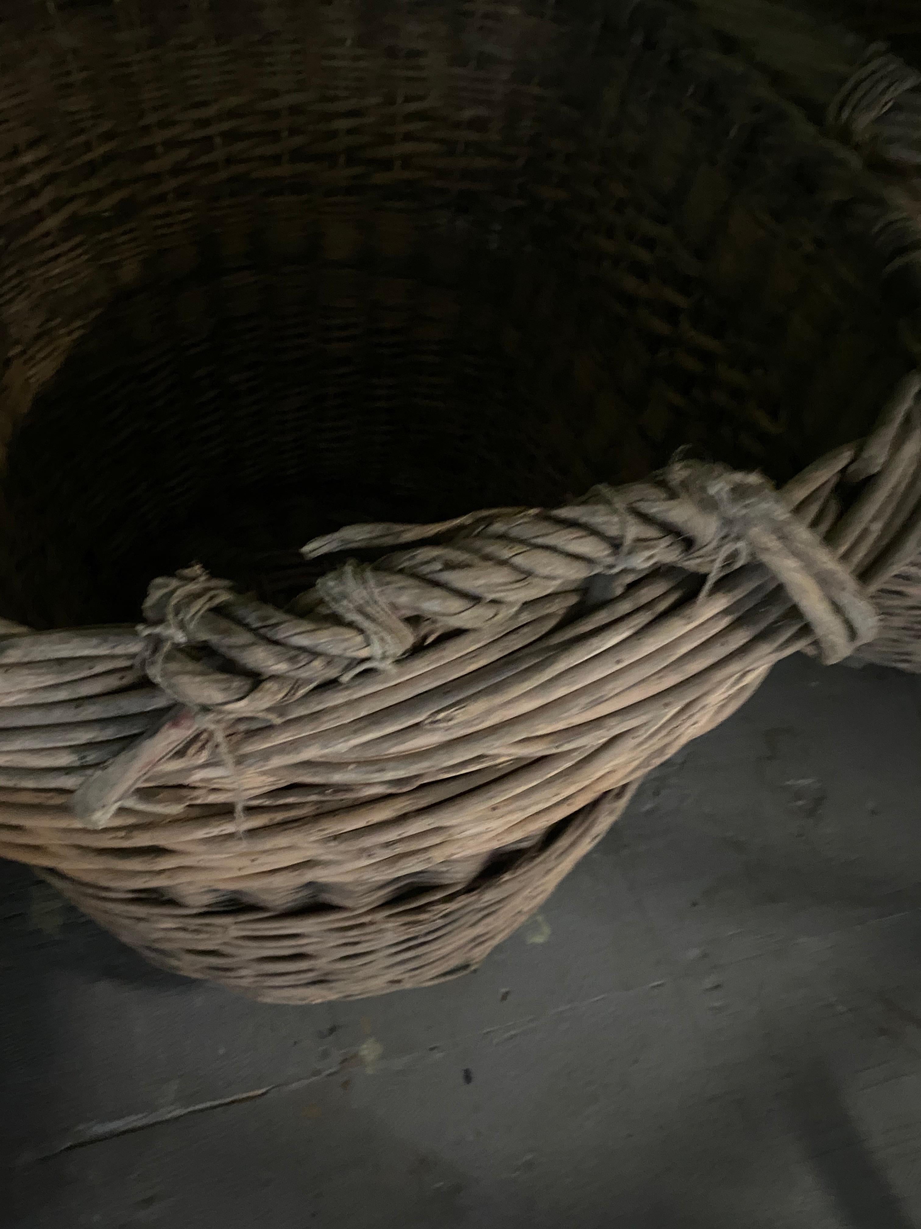 French Champagne Grape Gathering Baskets, Sold Singly 1