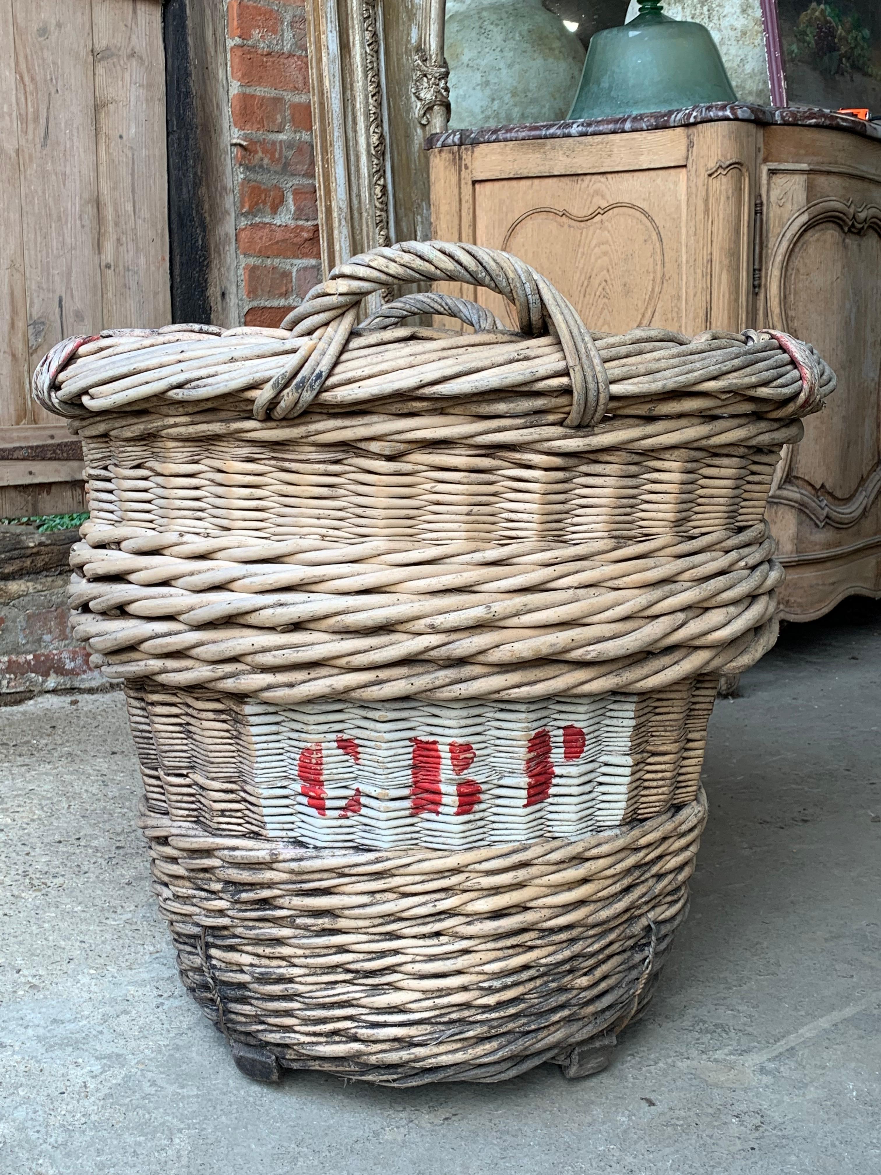 Un beau et grand panier à vendange du début du 20e siècle provenant de la région de Champagne en France. Ils étaient utilisés pour la récolte du raisin dans les vignobles et portent les marques peintes du propriétaire du vignoble. En très bon état.