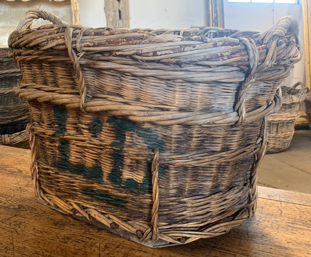 Woven French, Champagne Harvesting Basket