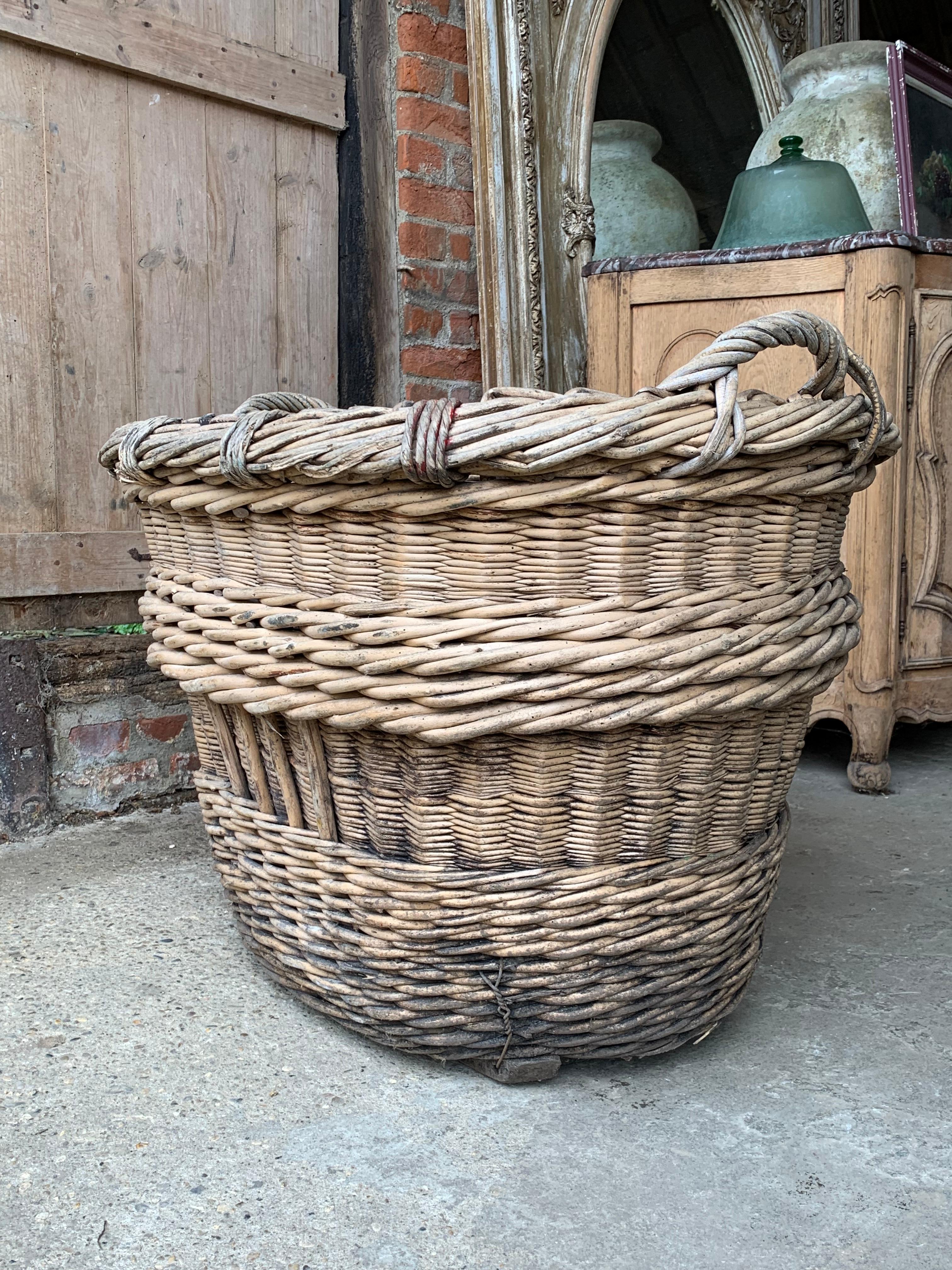 Panier de récolte de champagne français Bon état à Ongar, GB