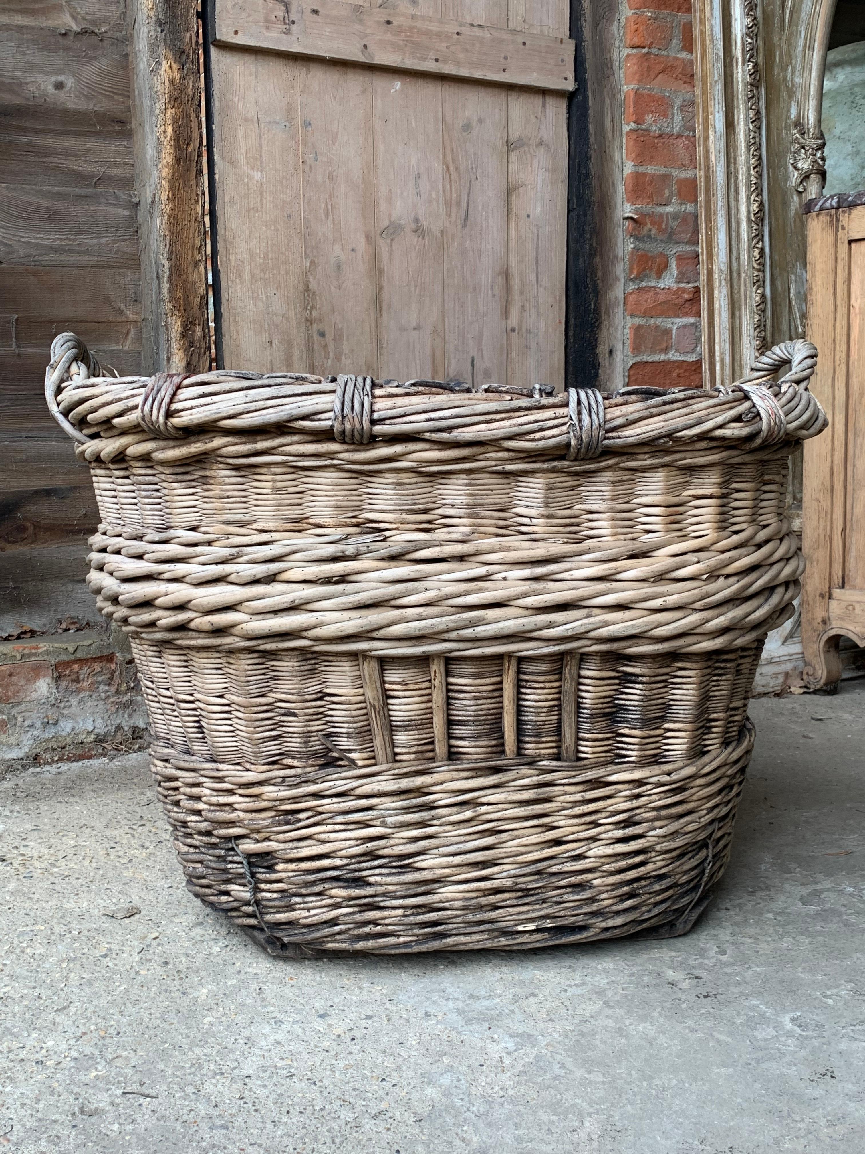 Osier Panier de récolte de champagne français