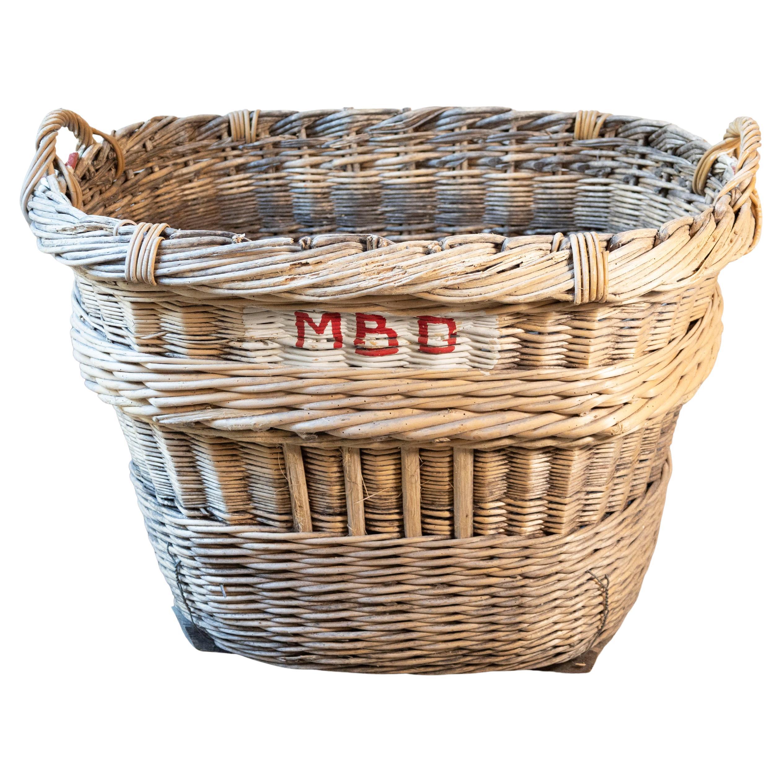 Cesta de la vendimia del champán francés