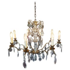 French Chandelier with Eight Lights