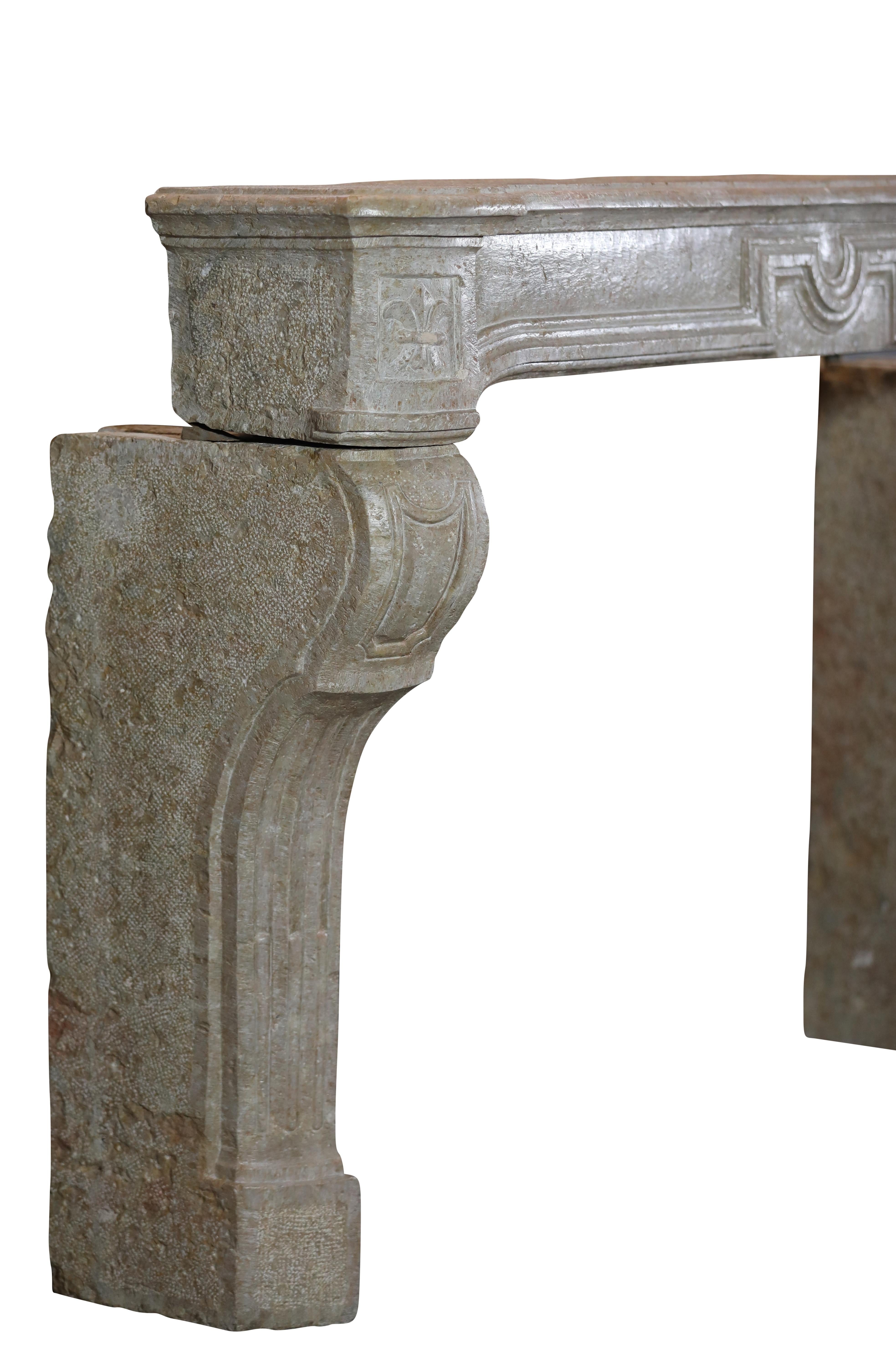 Cheminée française avec fleur de lys pour un concept d'intérieur moderniste et intemporel en vente 8