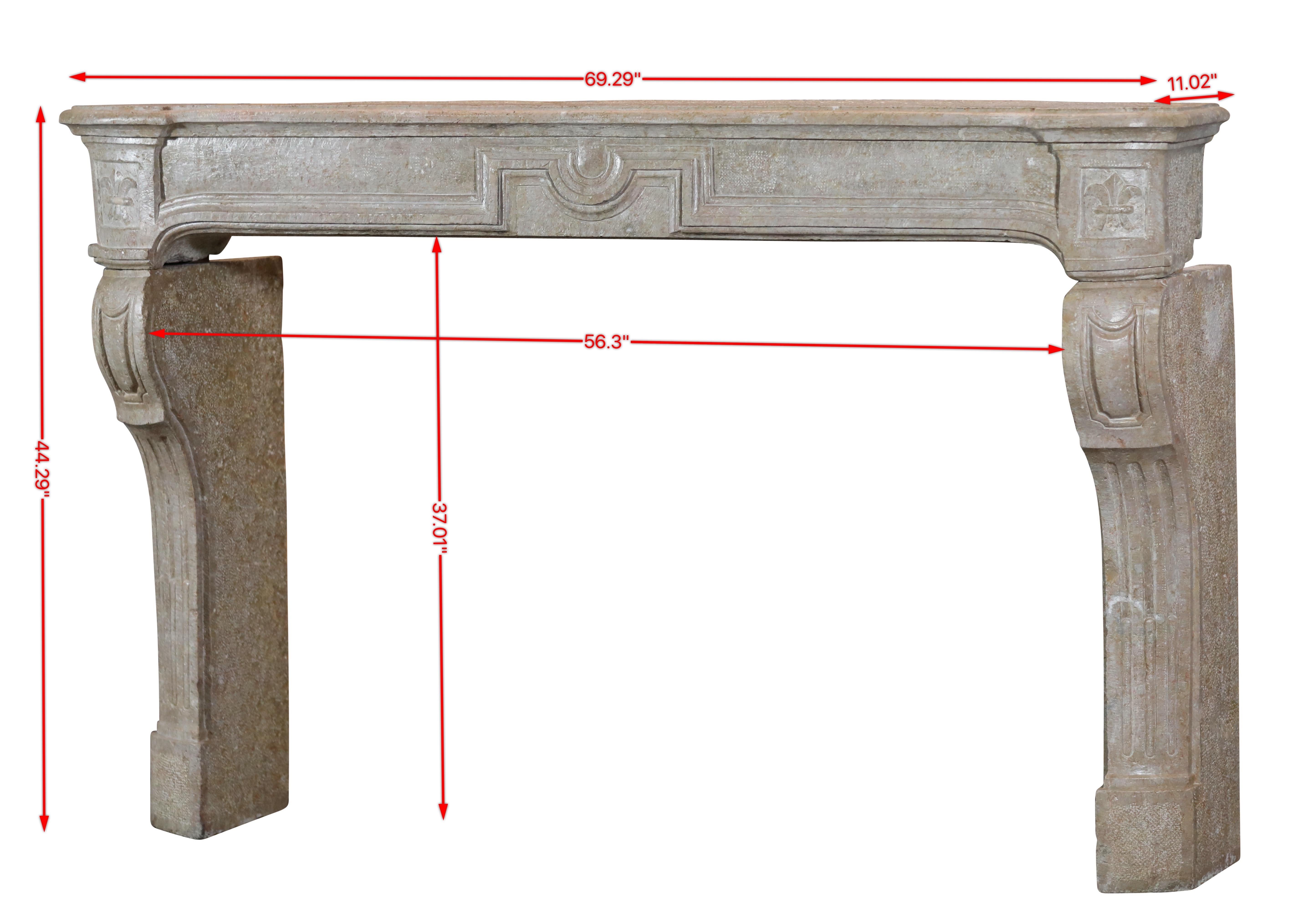 Cheminée unique et intemporelle en pierre calcaire française avec de magnifiques détails de Fleur de Lys sur le fronton. 
Mesures :
176 cm Largeur extérieure 69,29 pouces
112,5 cm Hauteur extérieure 44,29 pouces
143 cm Largeur intérieure 56,30