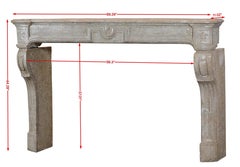 French Chimney Piece With Fleur De Lys For Timeless Modernist Interior Concept