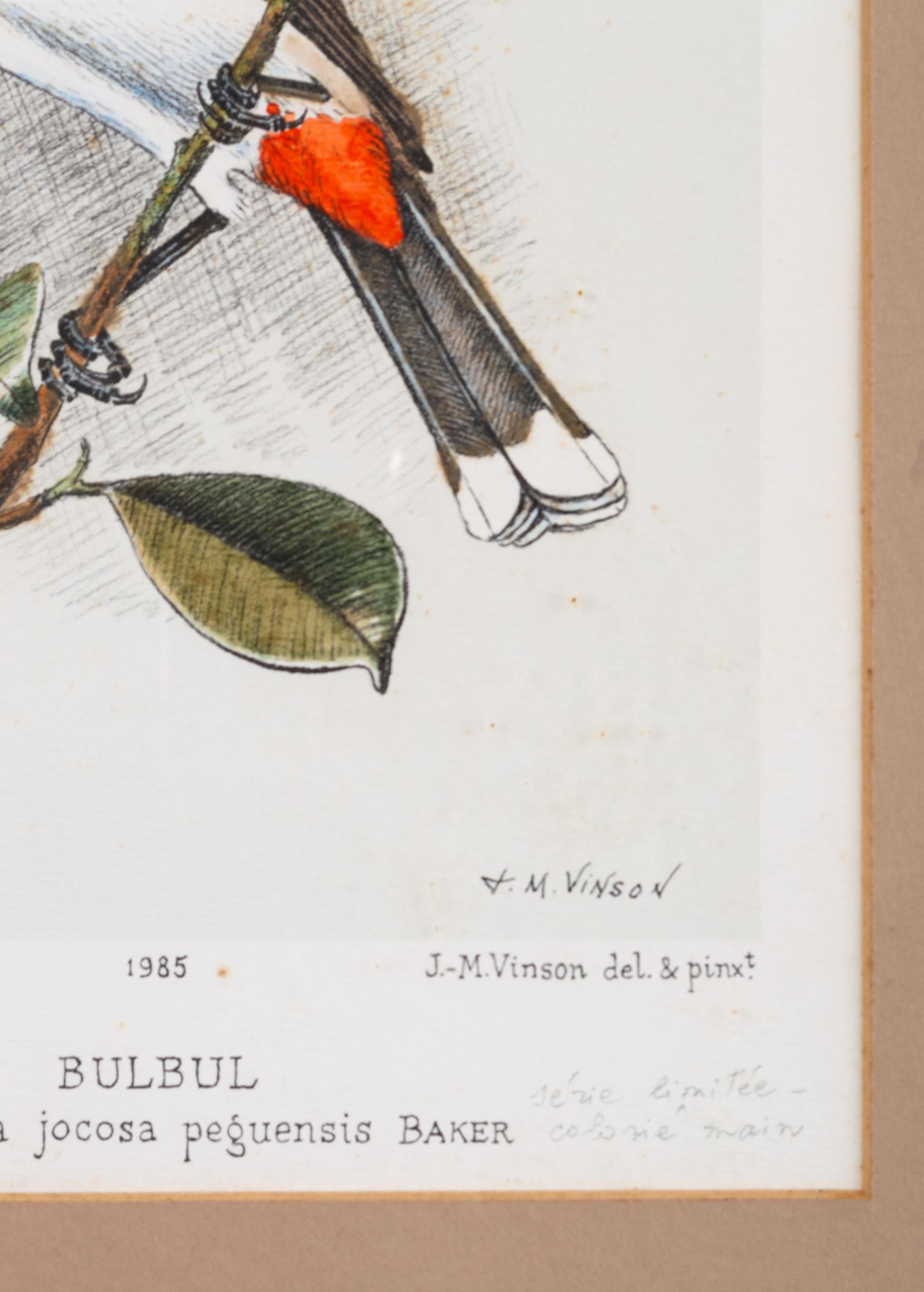 French Chromolithograph of the 'Bulbul' Bird by J.M. Vinson 1985 In Good Condition For Sale In London, GB