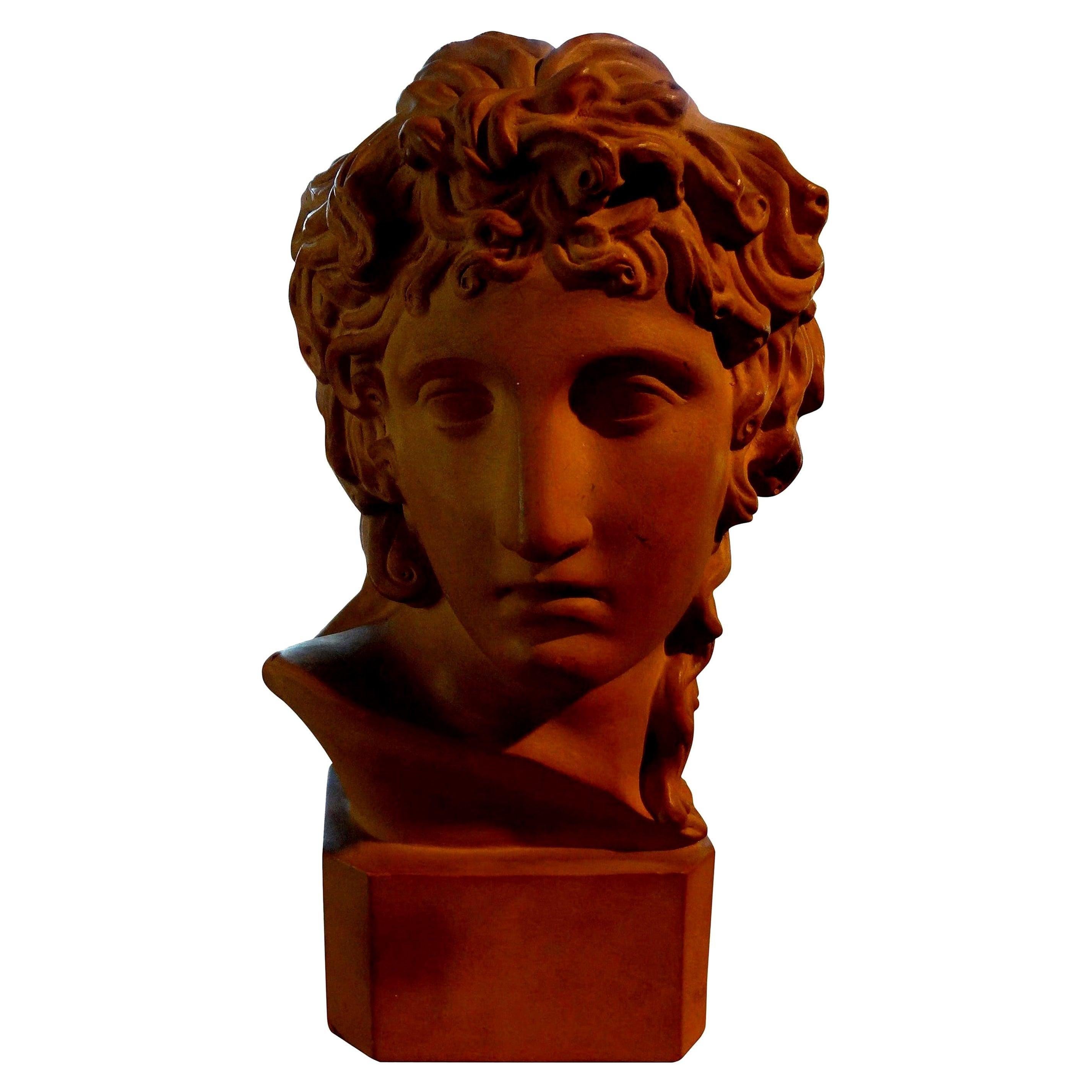 French Classical Terracotta Bust Signed R. D'arly, Paris 1