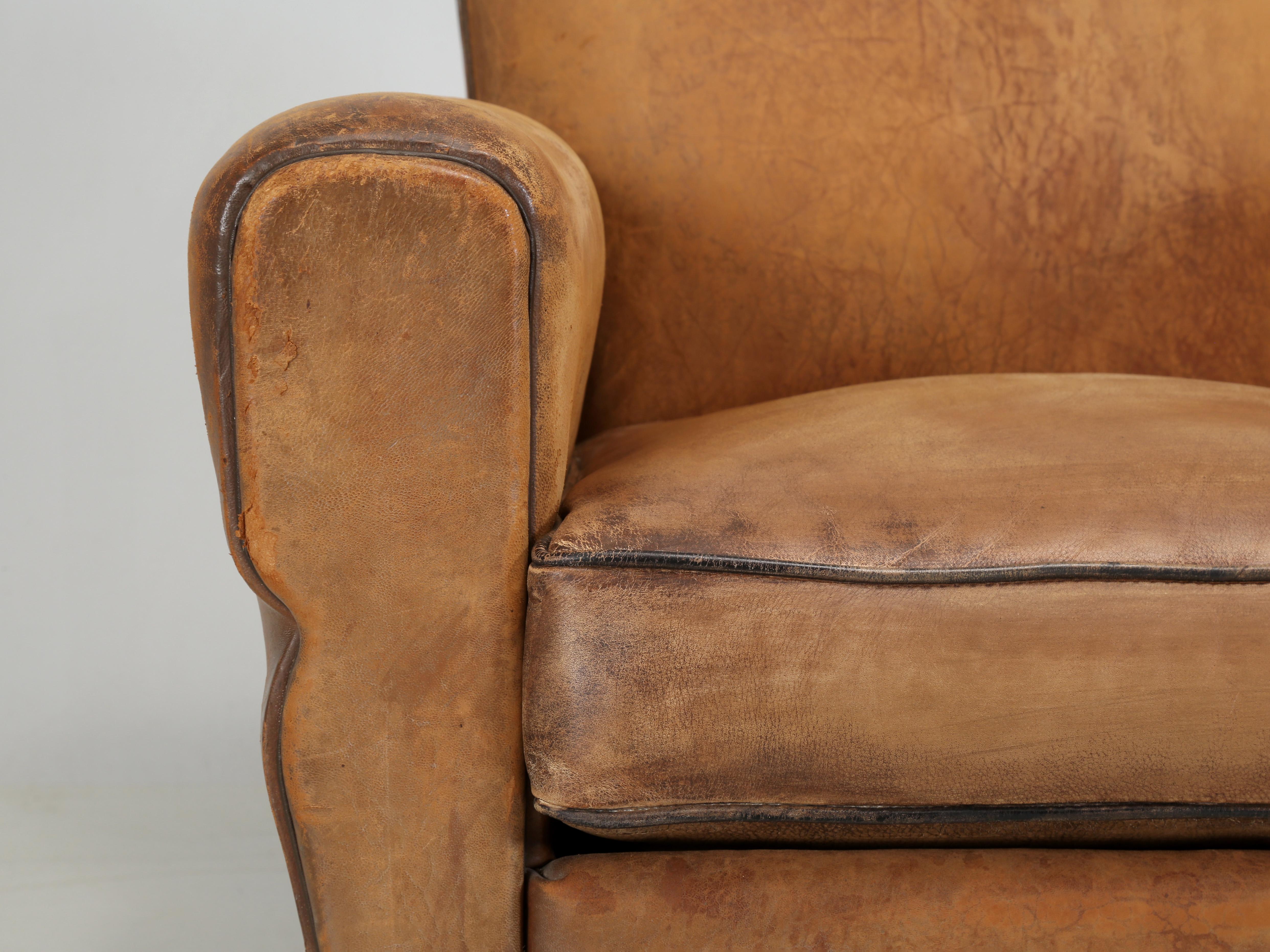 French Club Chair in Original Leather Completely Restored Horsehair Coco Fibers 3