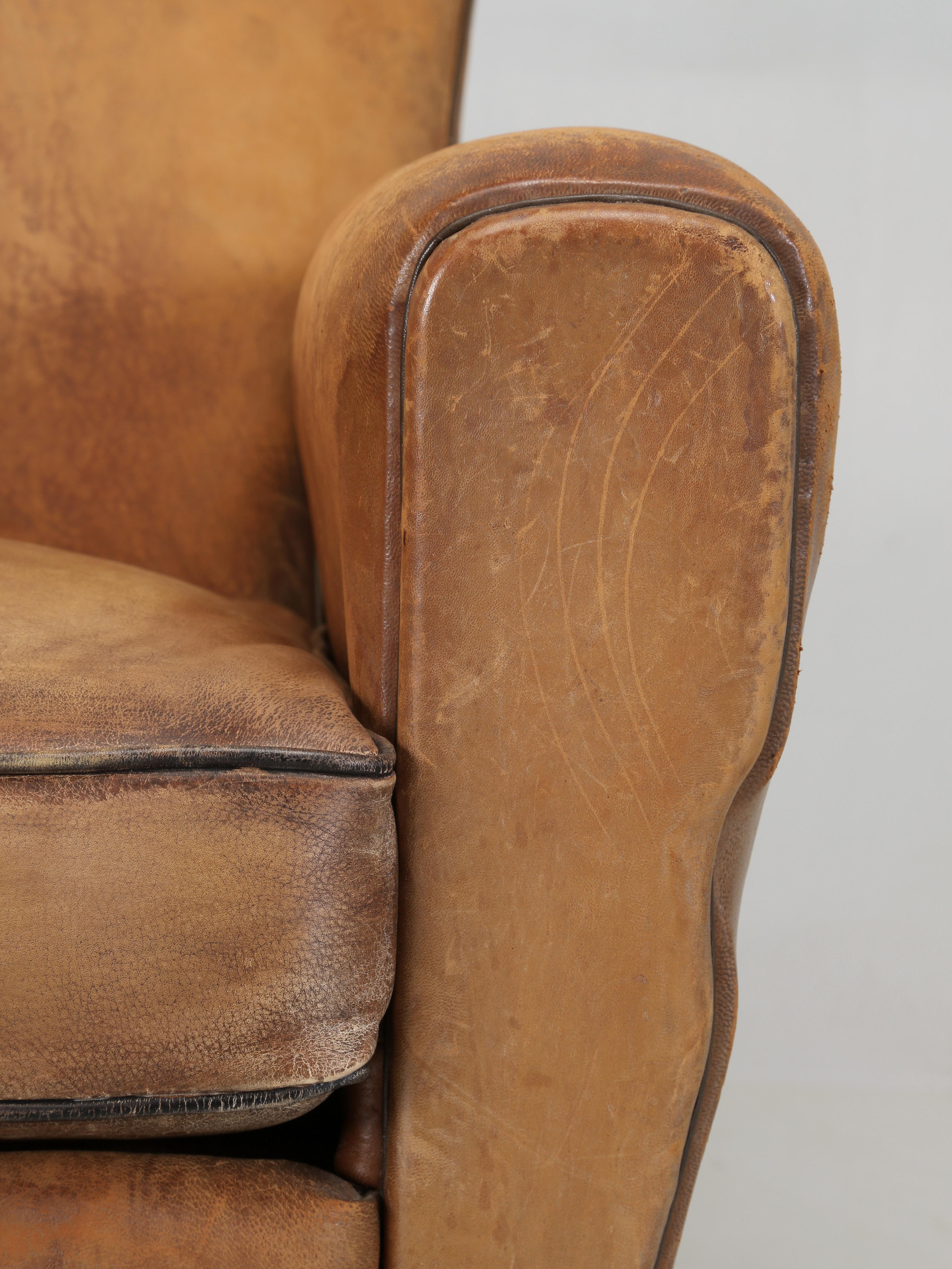French Club Chair in Original Leather Completely Restored Horsehair Coco Fibers 4