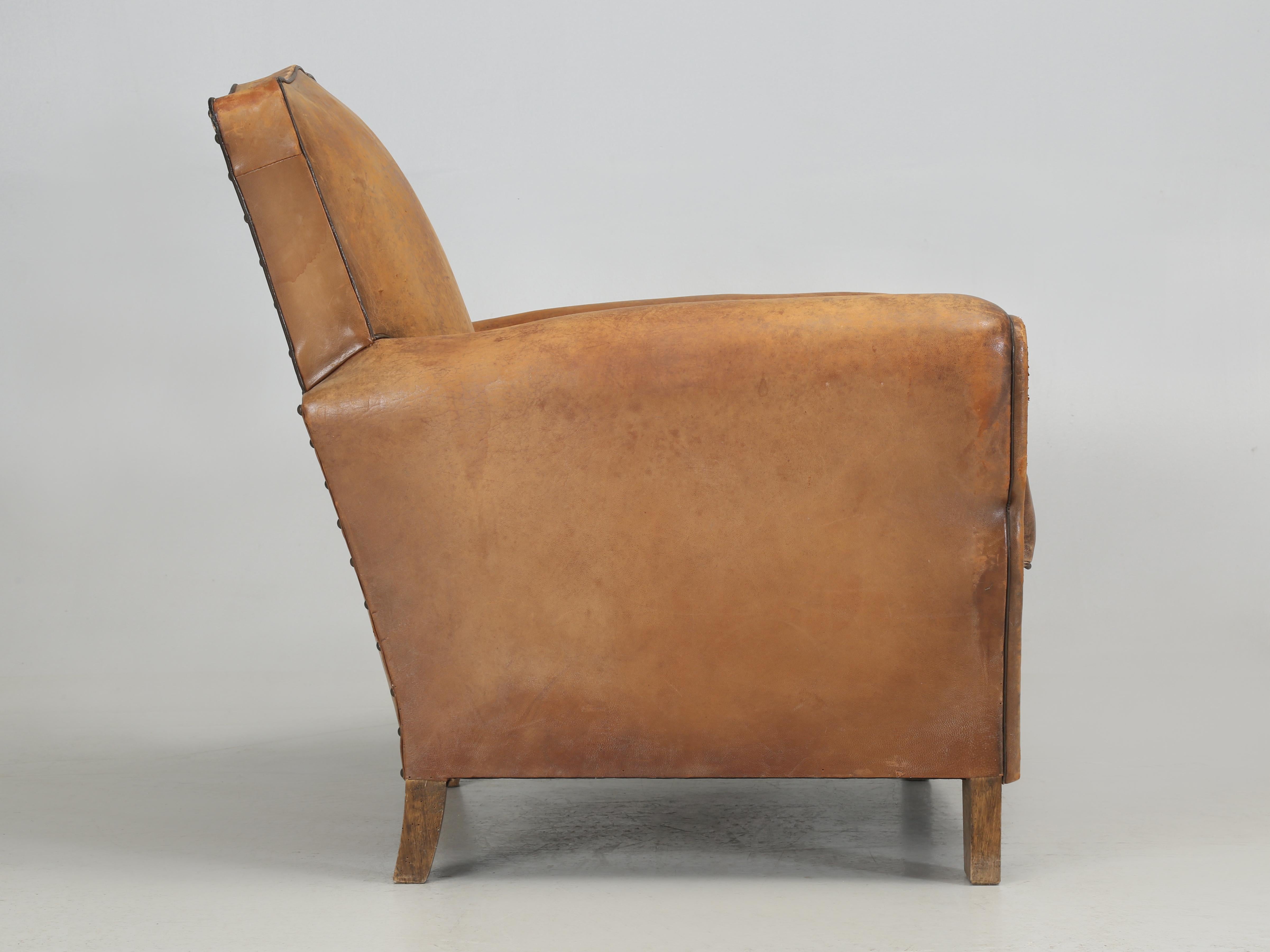 French Club Chair in Original Leather Completely Restored Horsehair Coco Fibers 6
