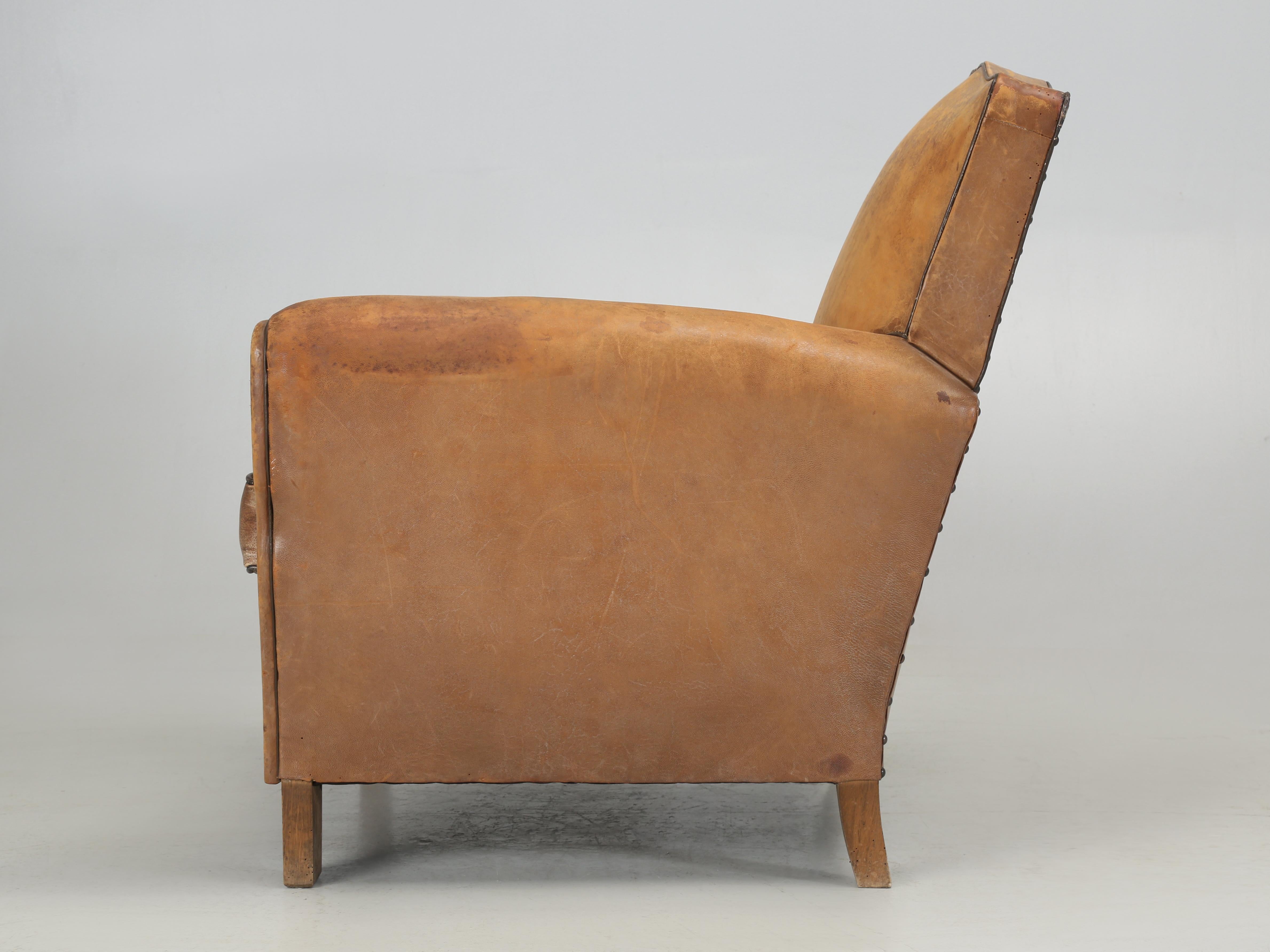 French Club Chair in Original Leather Completely Restored Horsehair Coco Fibers 7