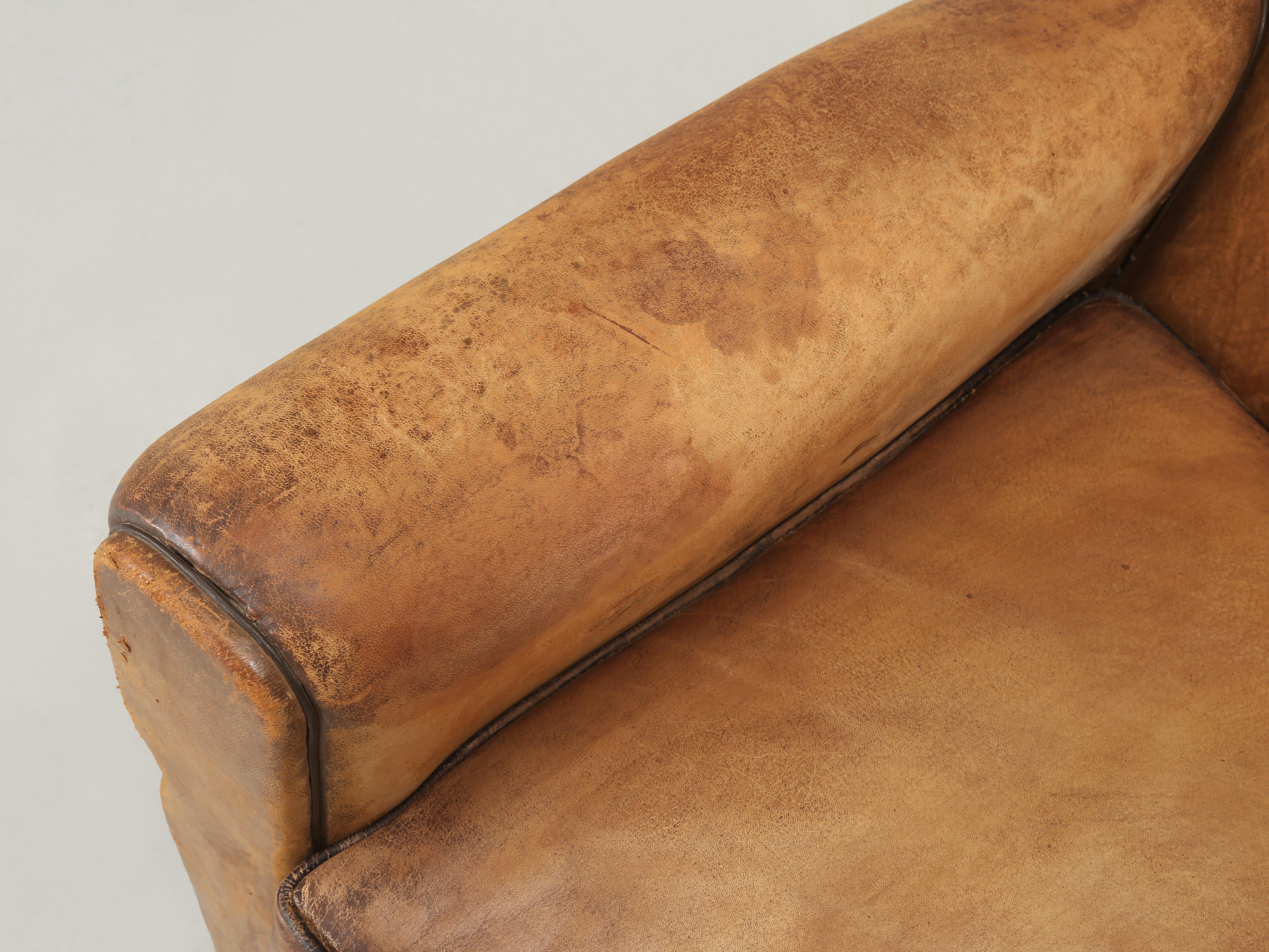 Mid-20th Century French Club Chair in Original Leather Completely Restored Horsehair Coco Fibers