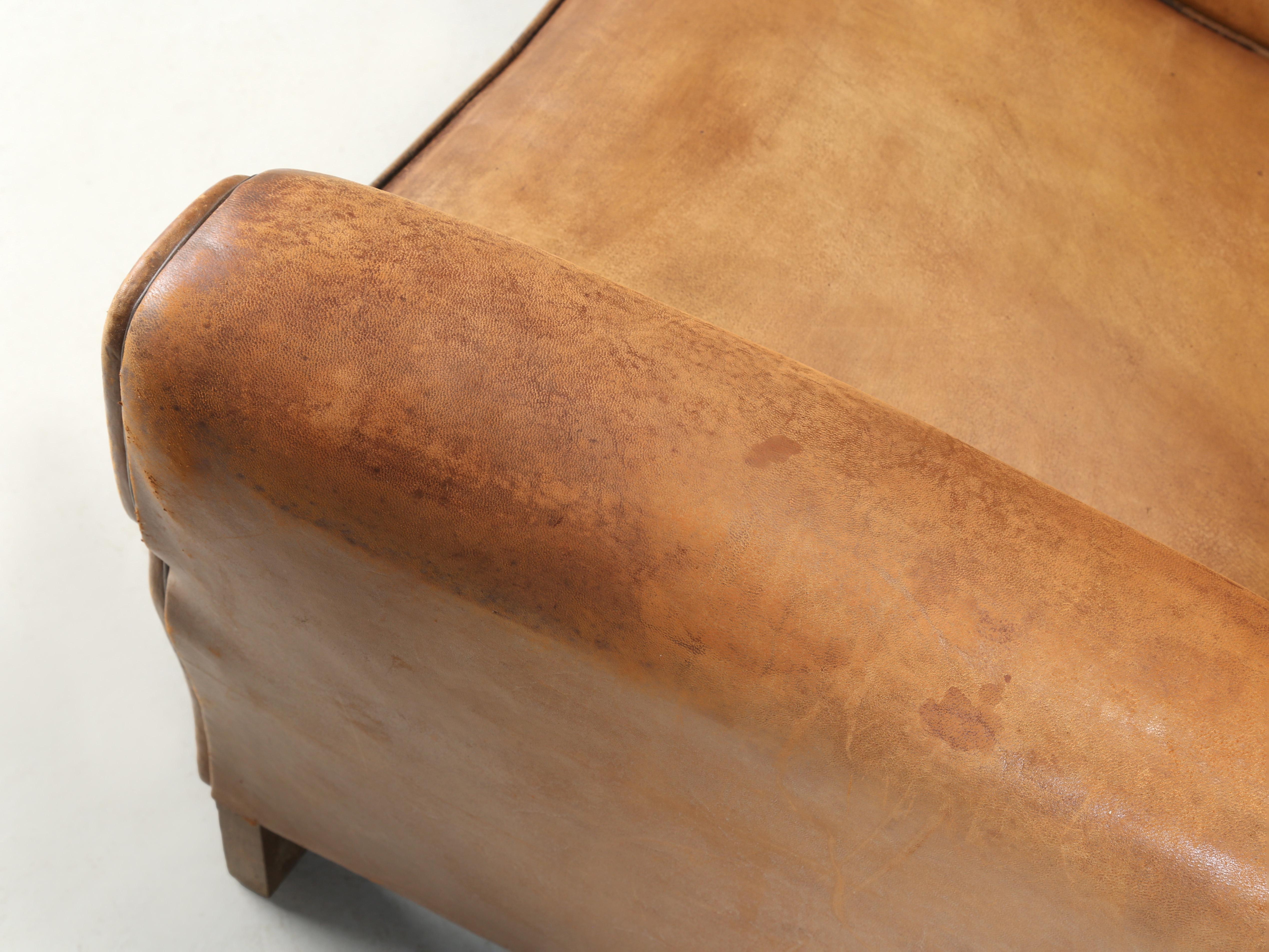 French Club Chair in Original Leather Completely Restored Horsehair Coco Fibers 1