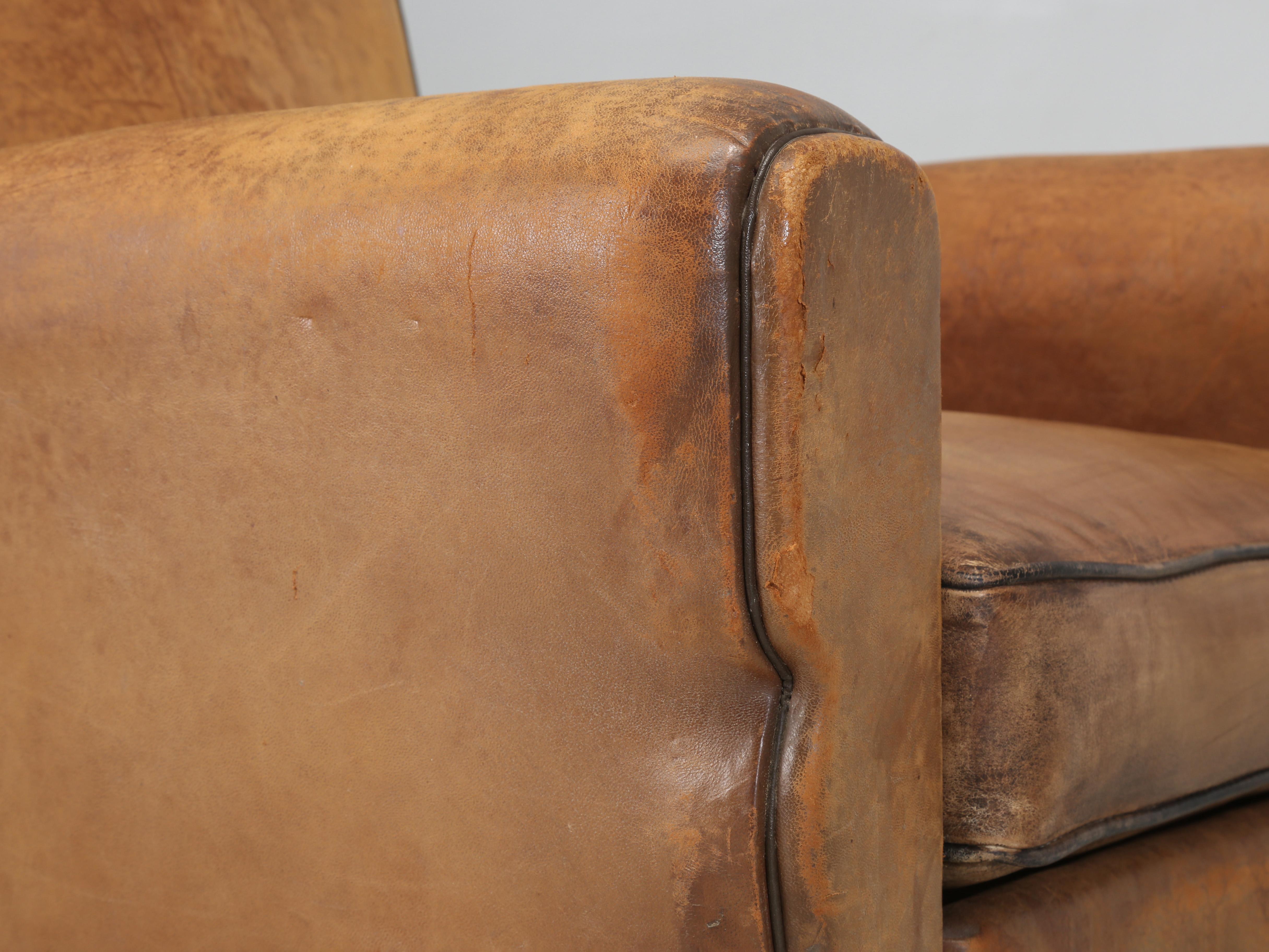 French Club Chair in Original Leather Completely Restored Horsehair Coco Fibers 2