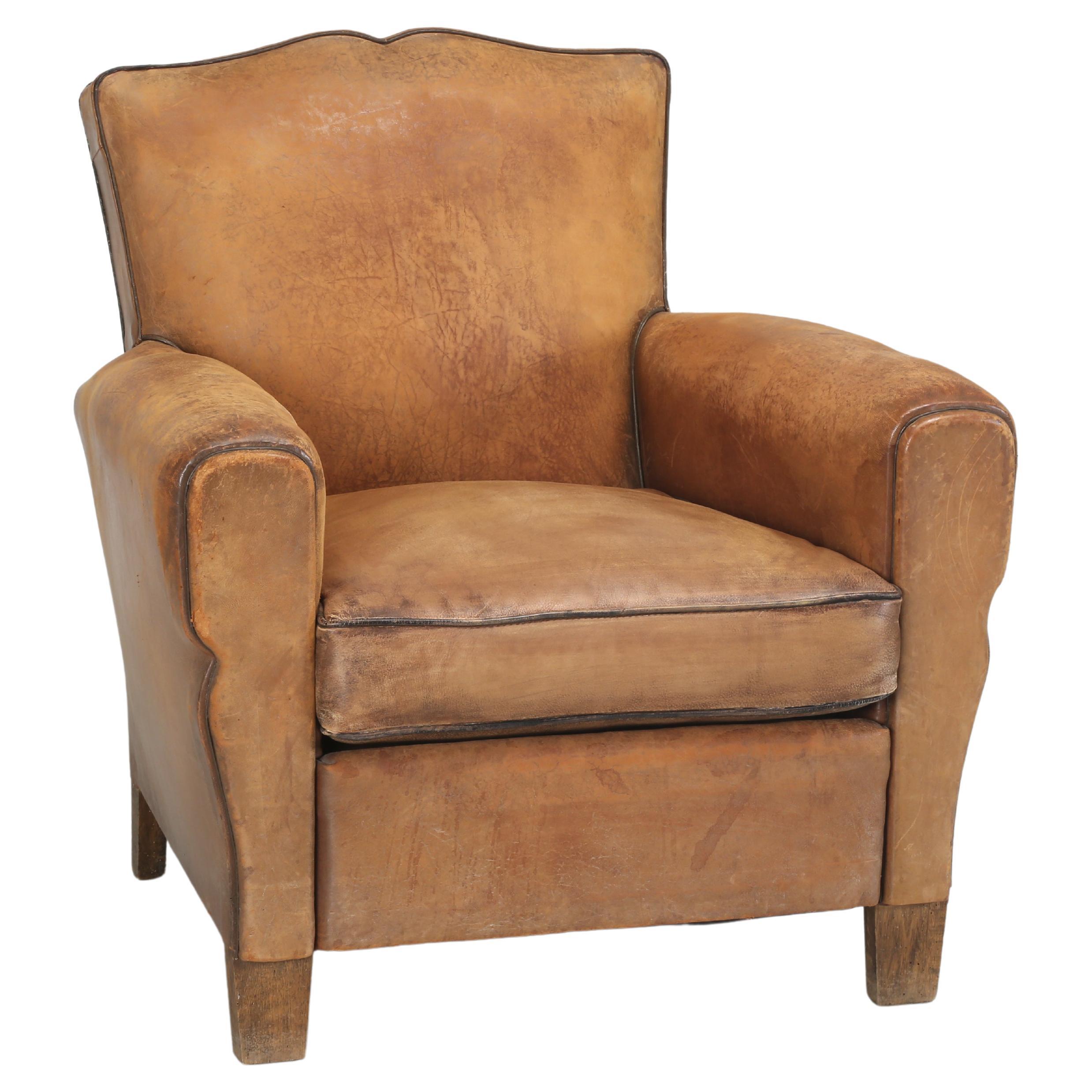 French Club Chair in Original Leather Completely Restored Horsehair Coco Fibers