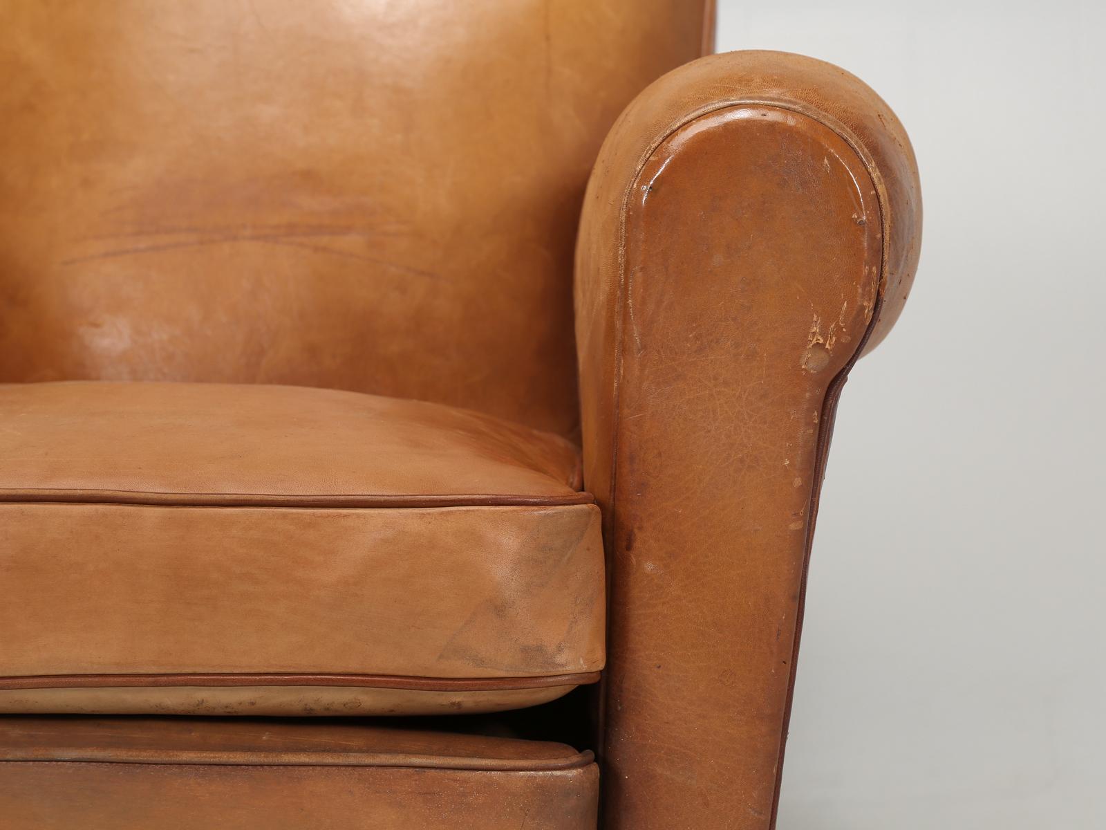 French Club Chair in Original Leather Correctly Restored with Horsehair and Coco 4