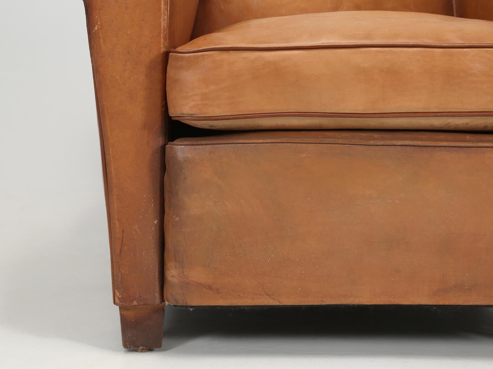 French Club Chair in Original Leather Correctly Restored with Horsehair and Coco 5