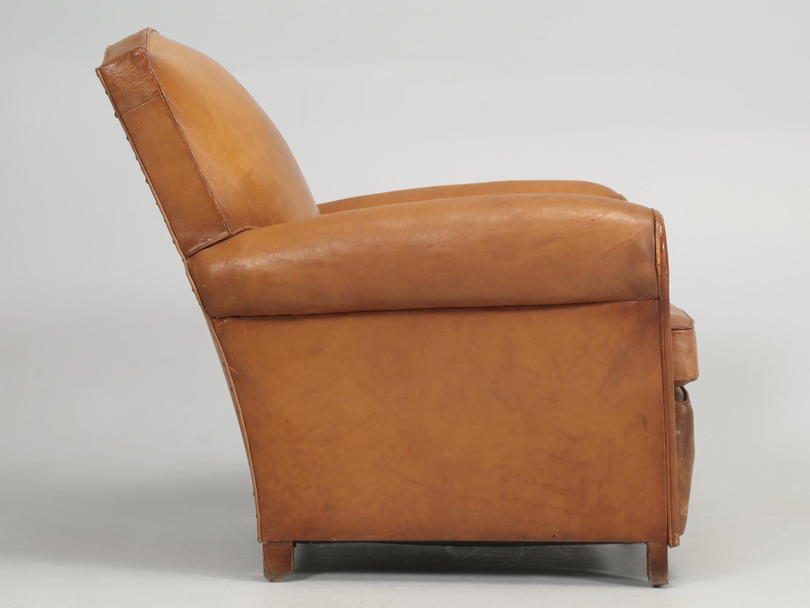 French Club Chair in Original Leather Correctly Restored with Horsehair and Coco 6