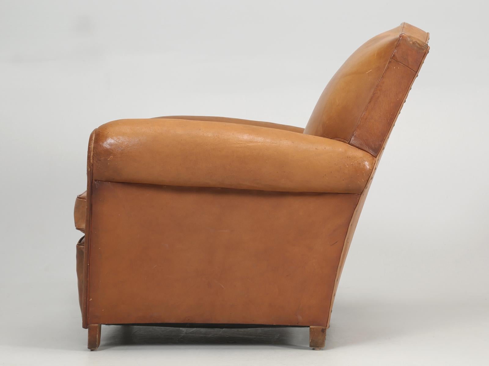 French Club Chair in Original Leather Correctly Restored with Horsehair and Coco 7