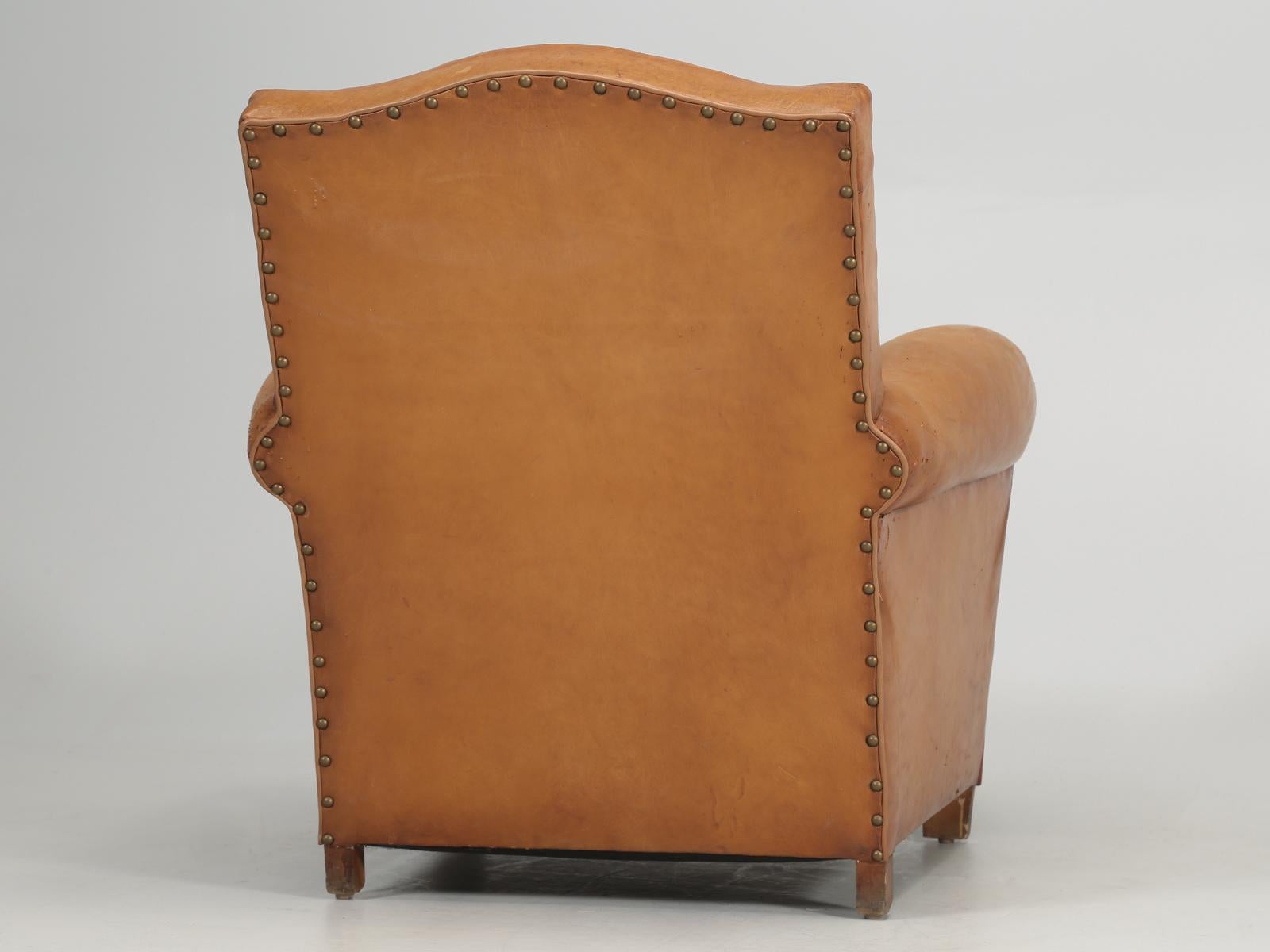 French Club Chair in Original Leather Correctly Restored with Horsehair and Coco 8