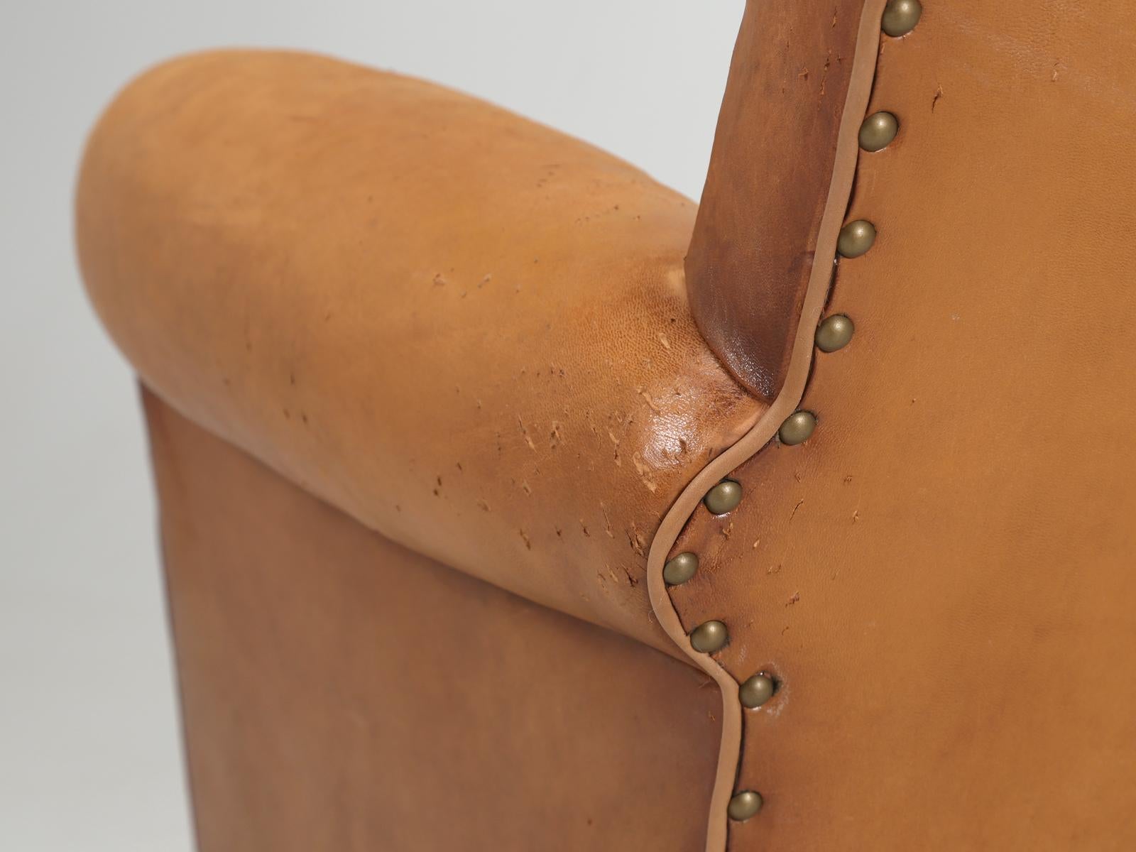 French Club Chair in Original Leather Correctly Restored with Horsehair and Coco 9