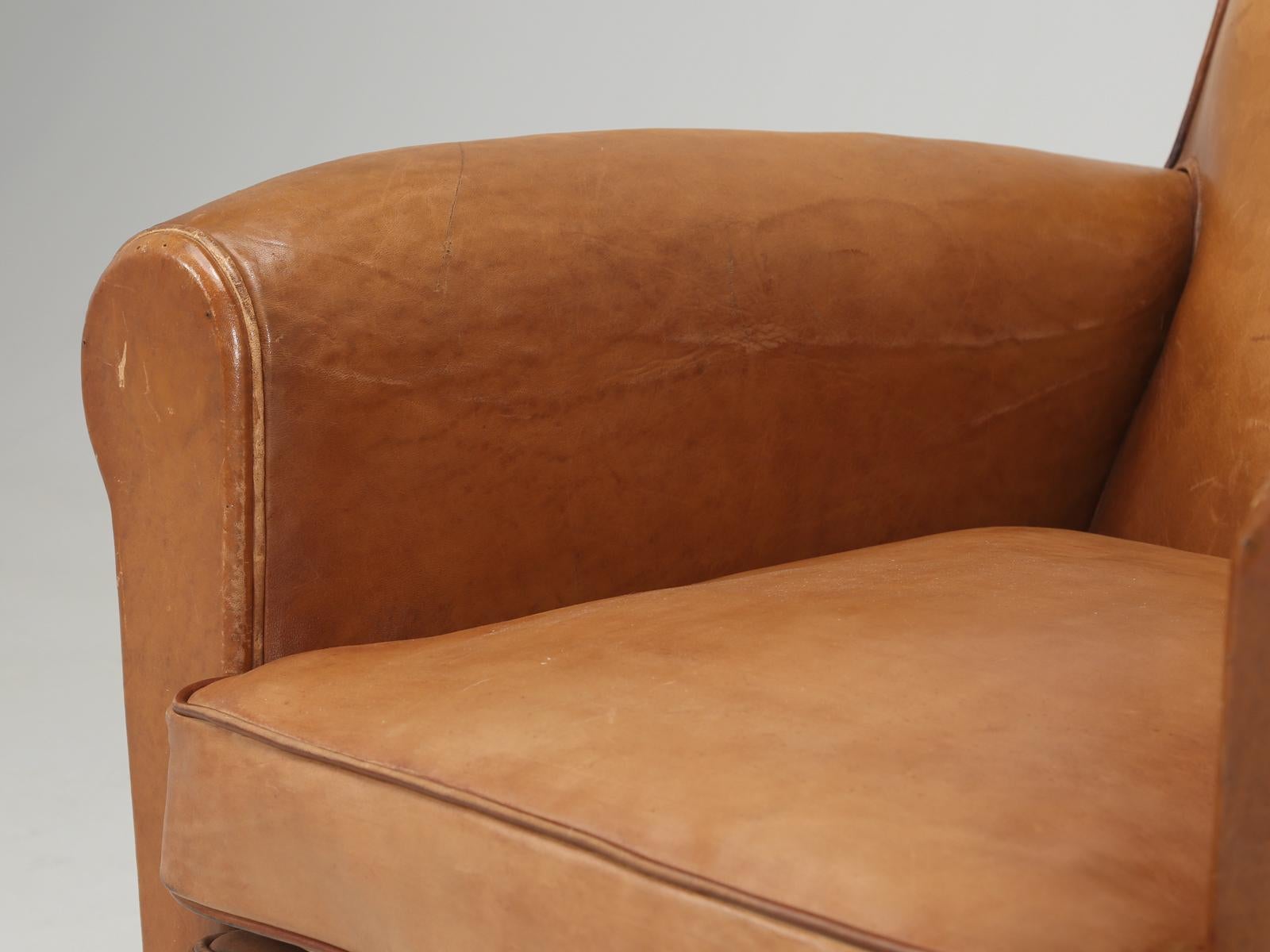 French Club Chair in Original Leather Correctly Restored with Horsehair and Coco 2