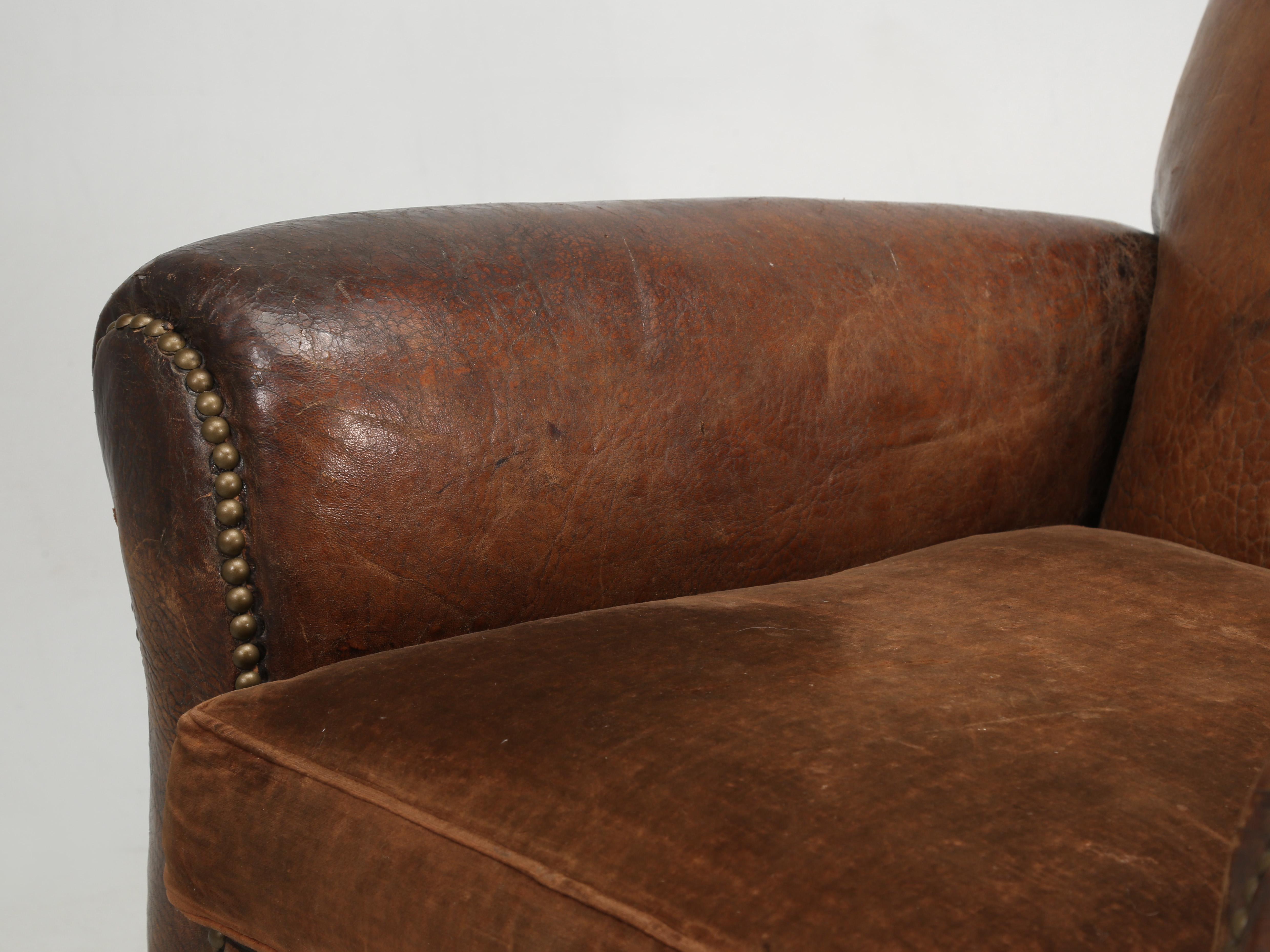 French Club Chairs in Original Leather and Restored Internally with Horsehair 5