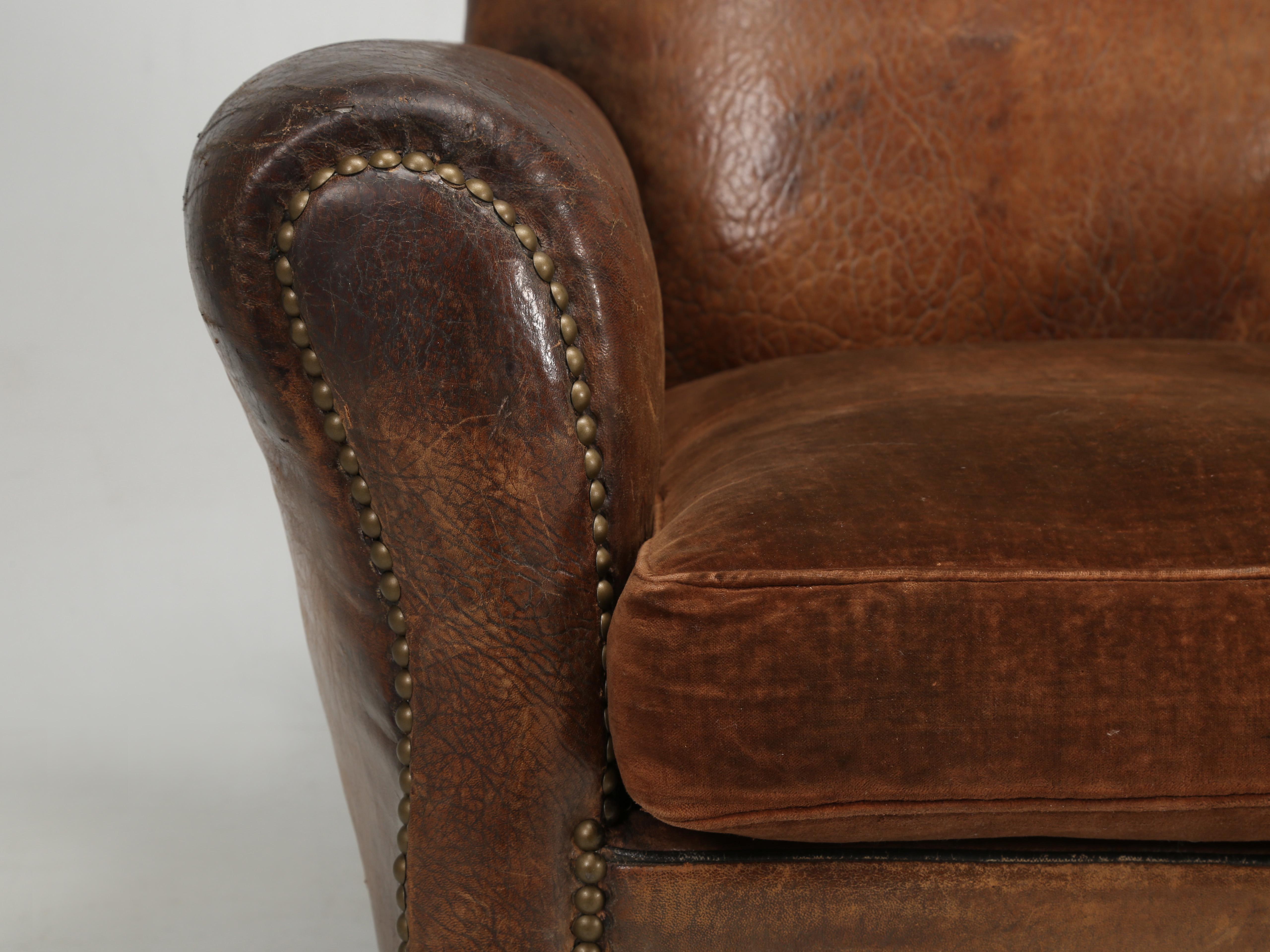 French Club Chairs in Original Leather and Restored Internally with Horsehair 6