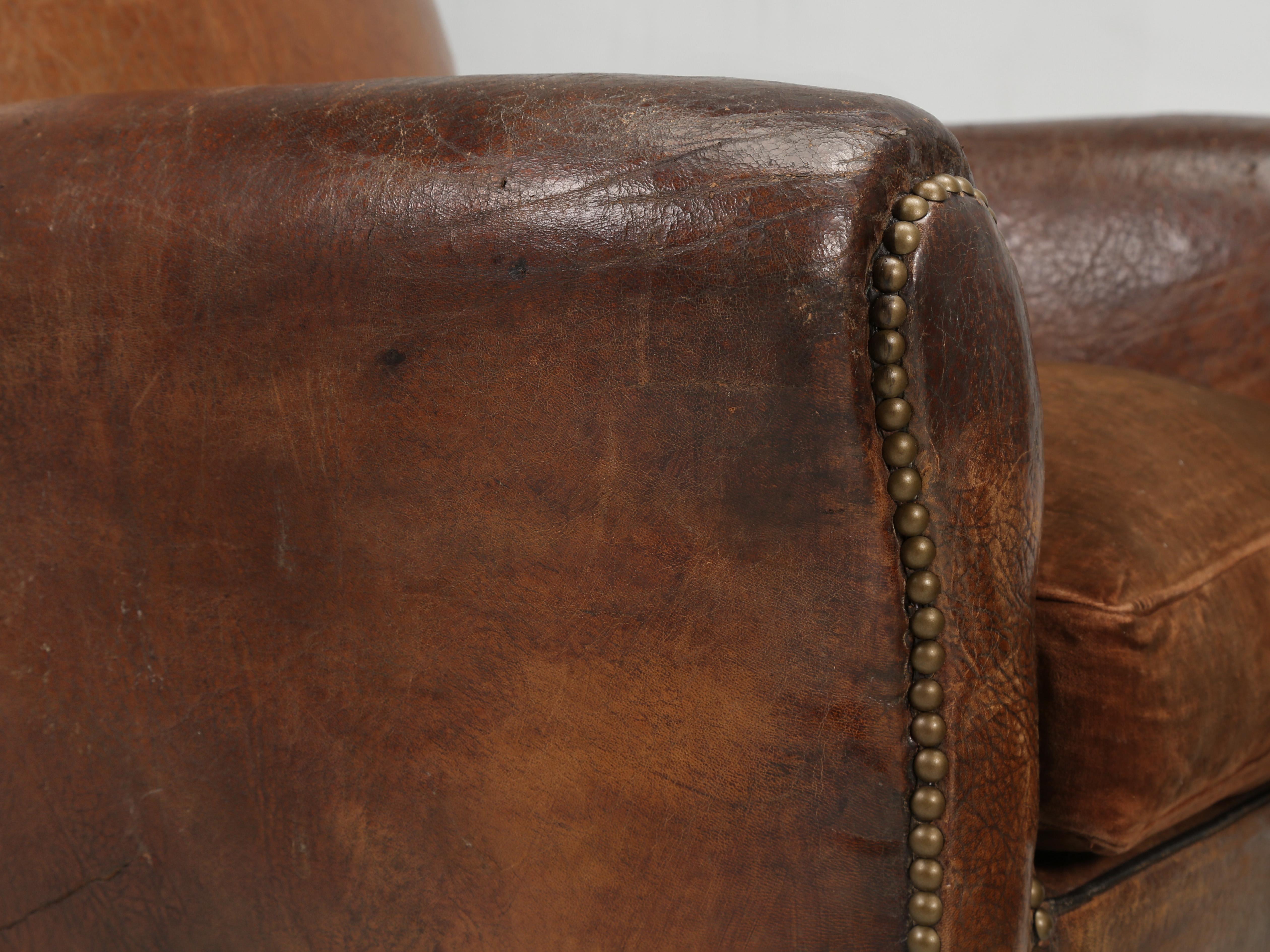 French Club Chairs in Original Leather and Restored Internally with Horsehair 7
