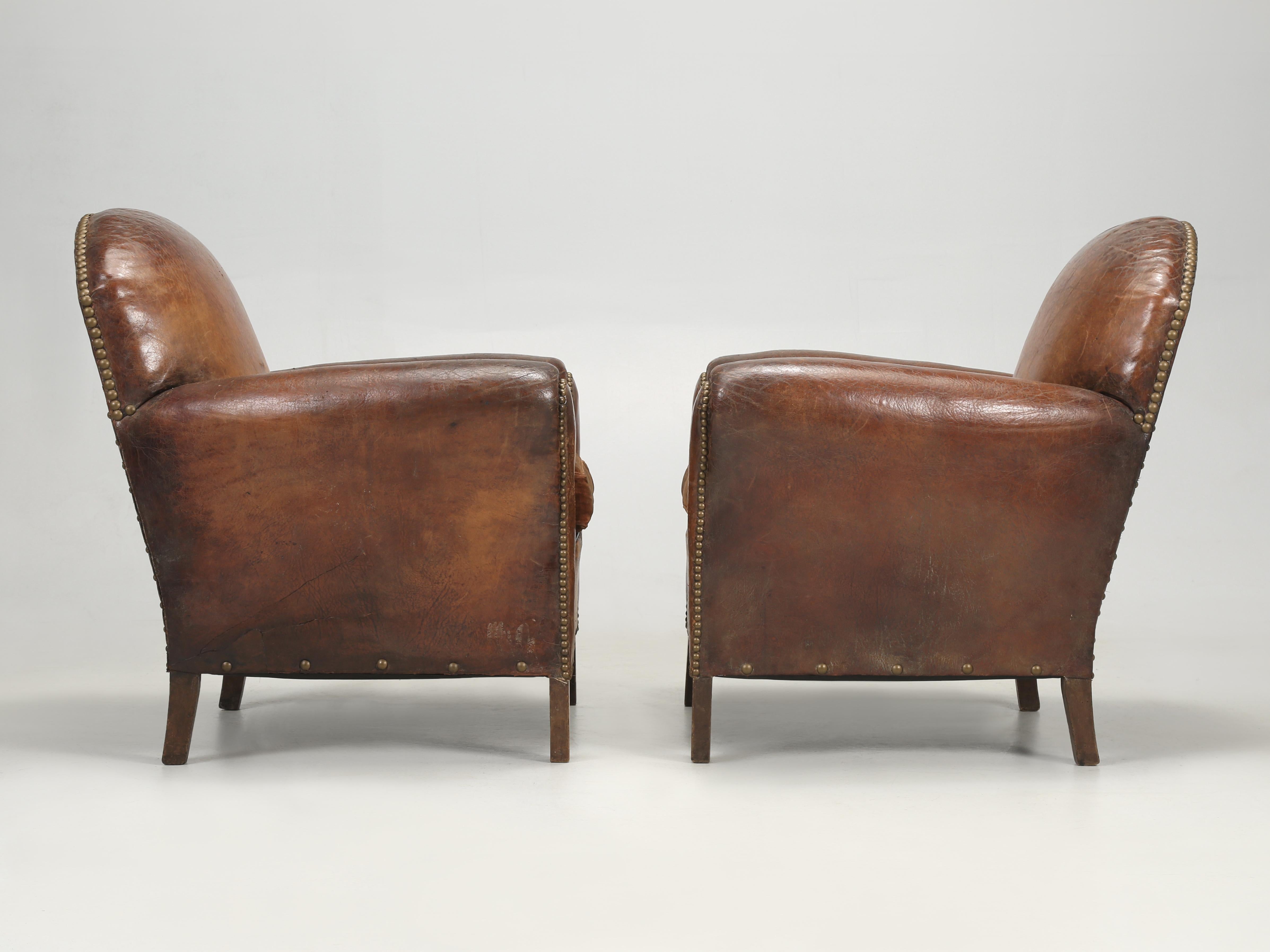 French Club Chairs in Original Leather and Restored Internally with Horsehair 11