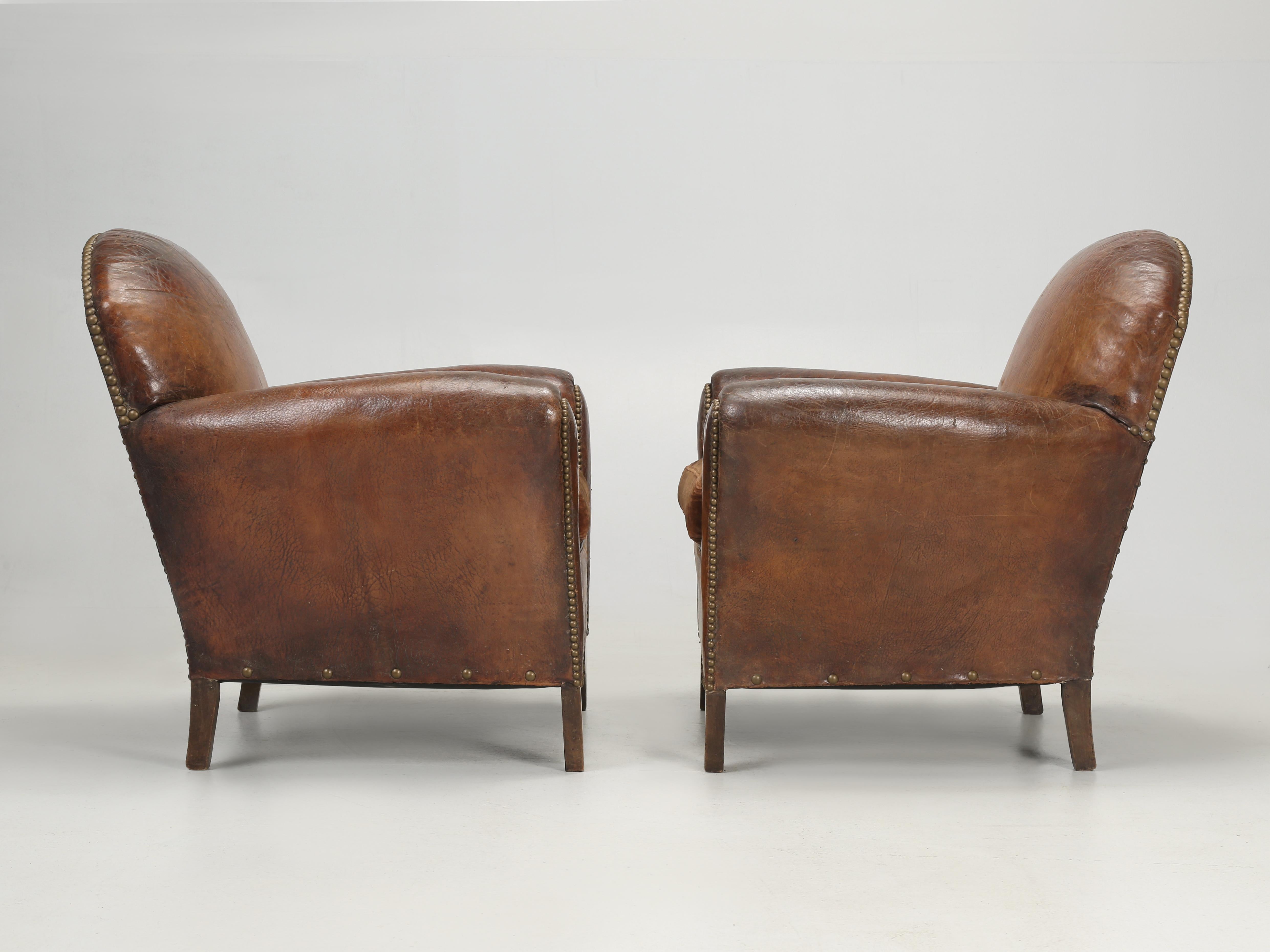 French Club Chairs in Original Leather and Restored Internally with Horsehair 12