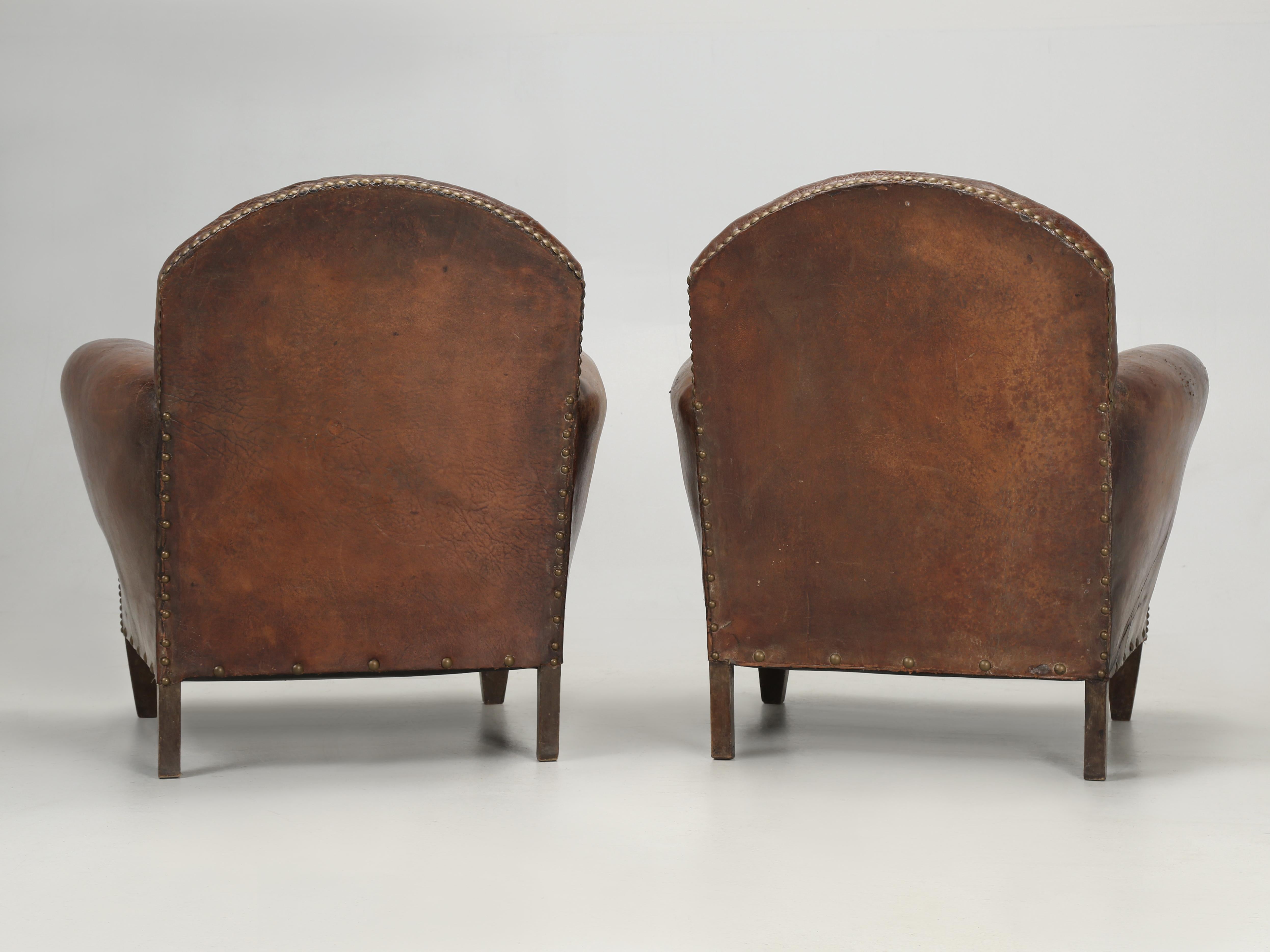 French Club Chairs in Original Leather and Restored Internally with Horsehair 13