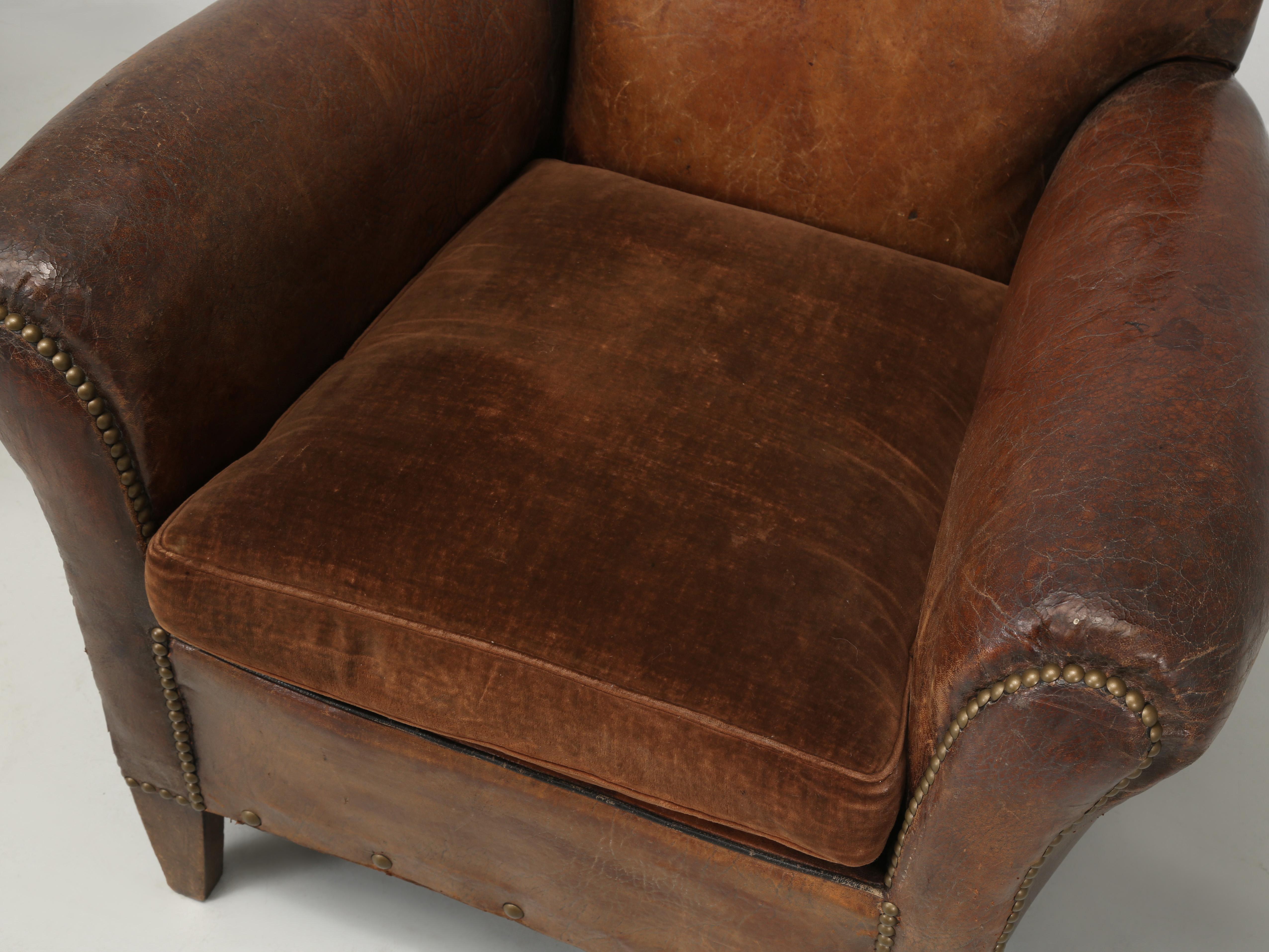 Wood French Club Chairs in Original Leather and Restored Internally with Horsehair
