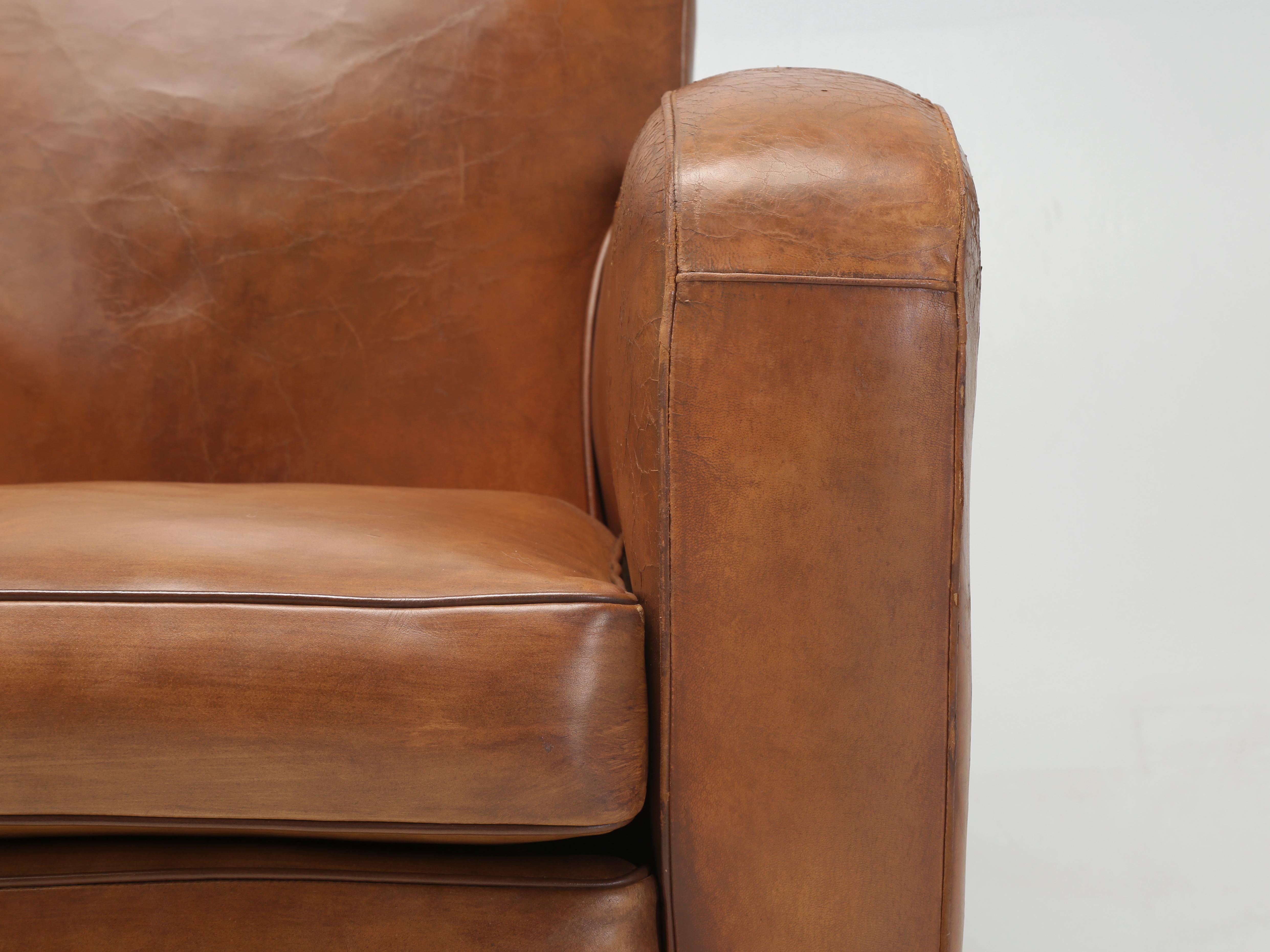 French Club Chairs Original Leather Completely Restored Internally in Horsehair 5